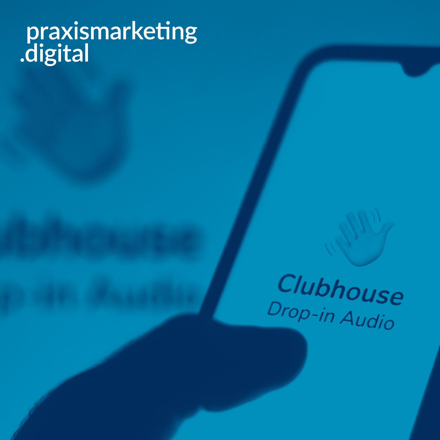 praxismarketing.digital