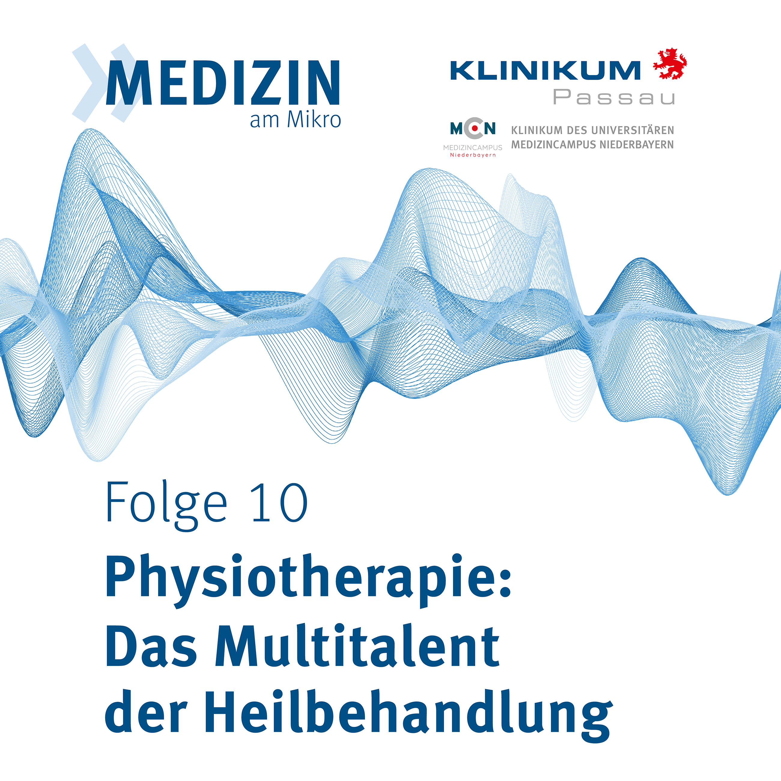 Physiotherapie: Multitalent der Heilbehandlung episode artwork