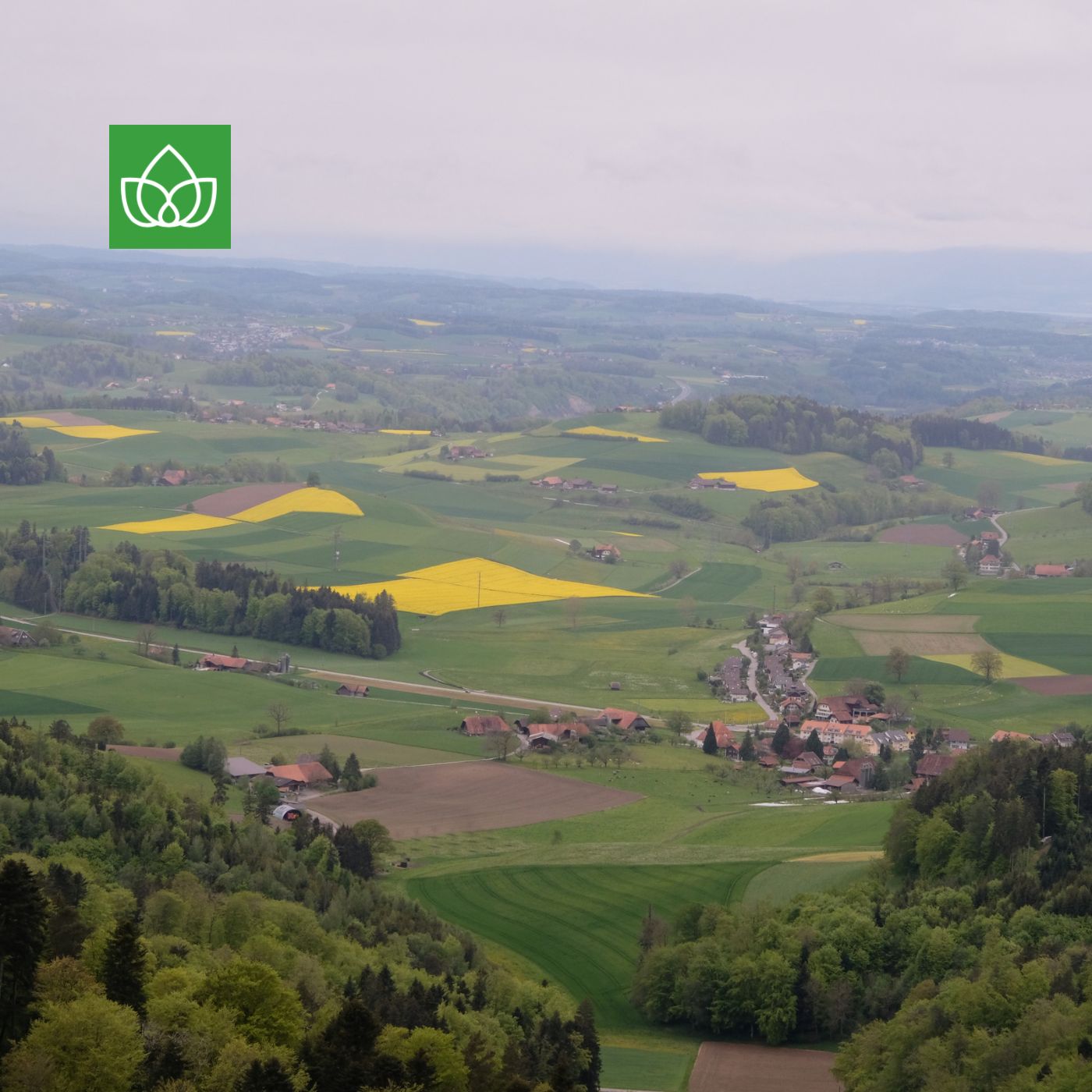 Die Natur und die Stadt