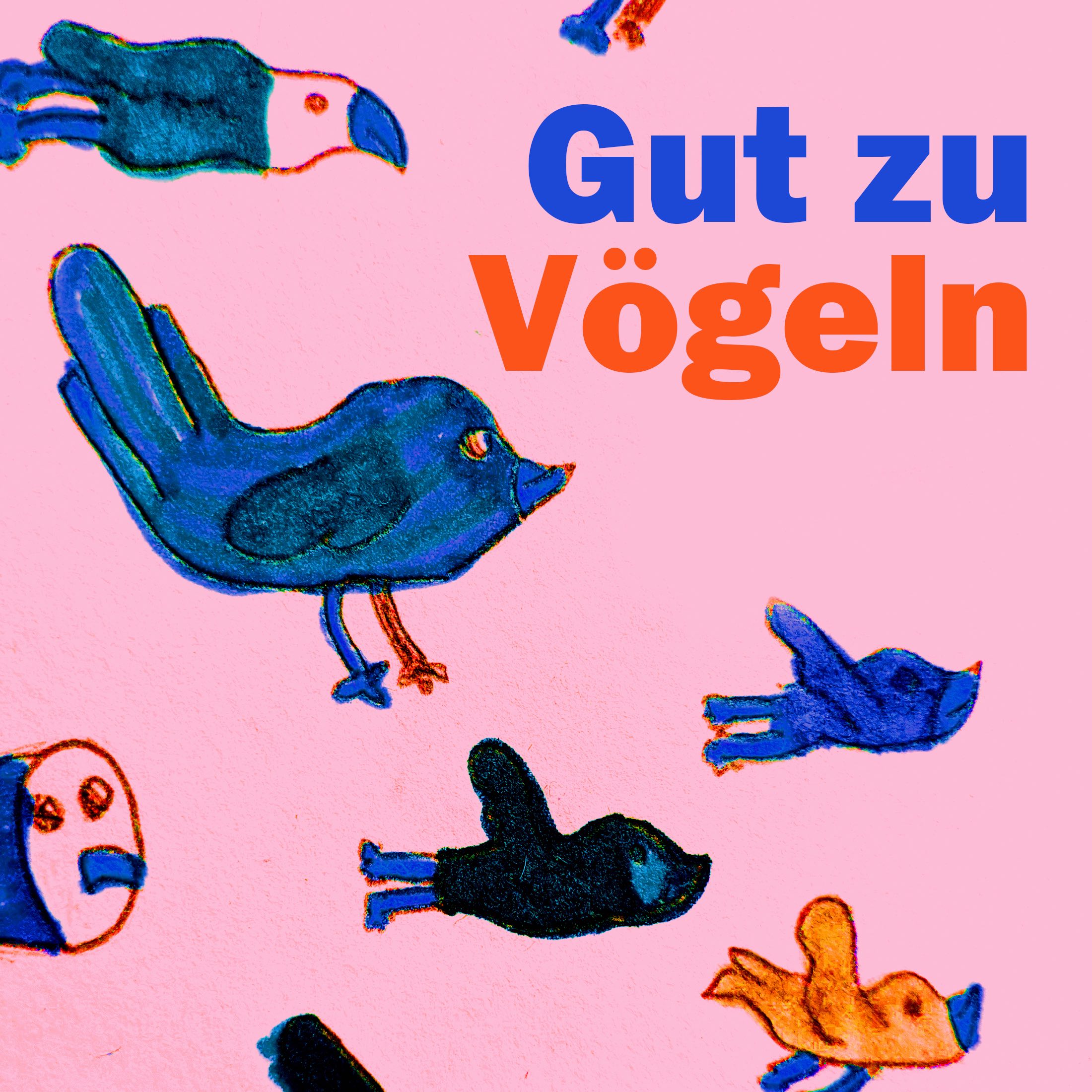 GUT ZU VÖGELN