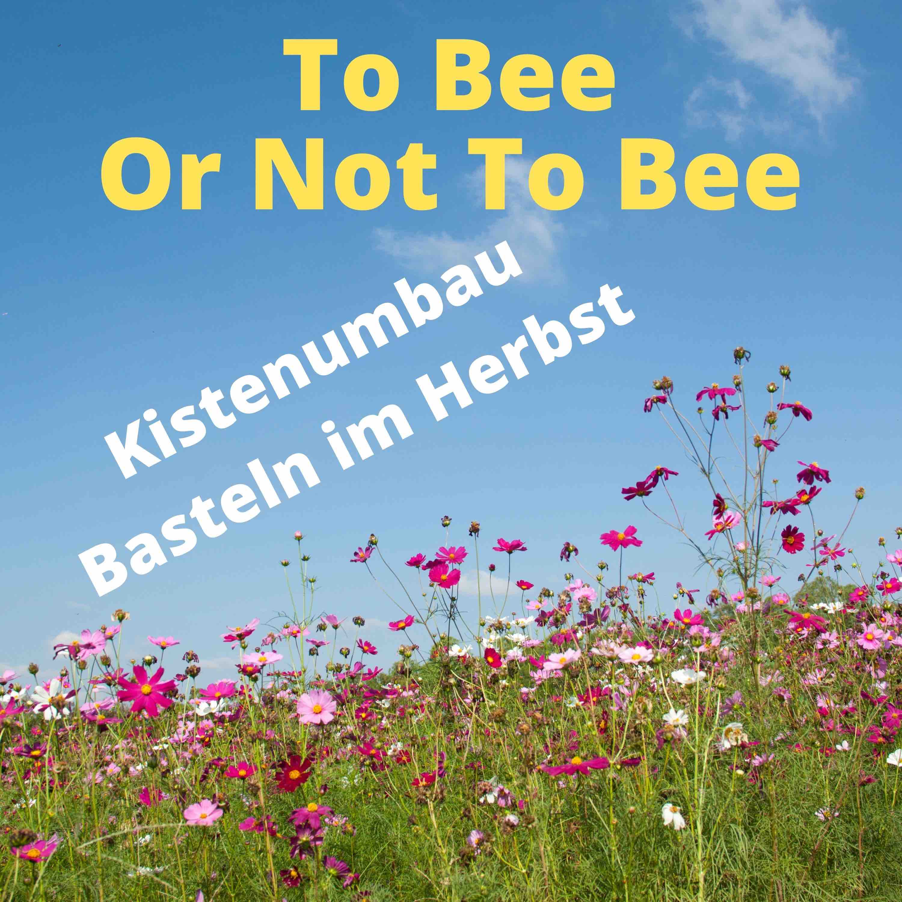 To Bee Or Not To Bee #16
