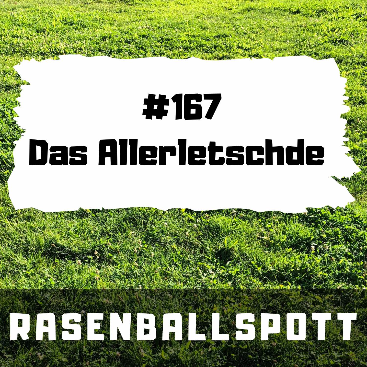 RASENBALLSPOTT