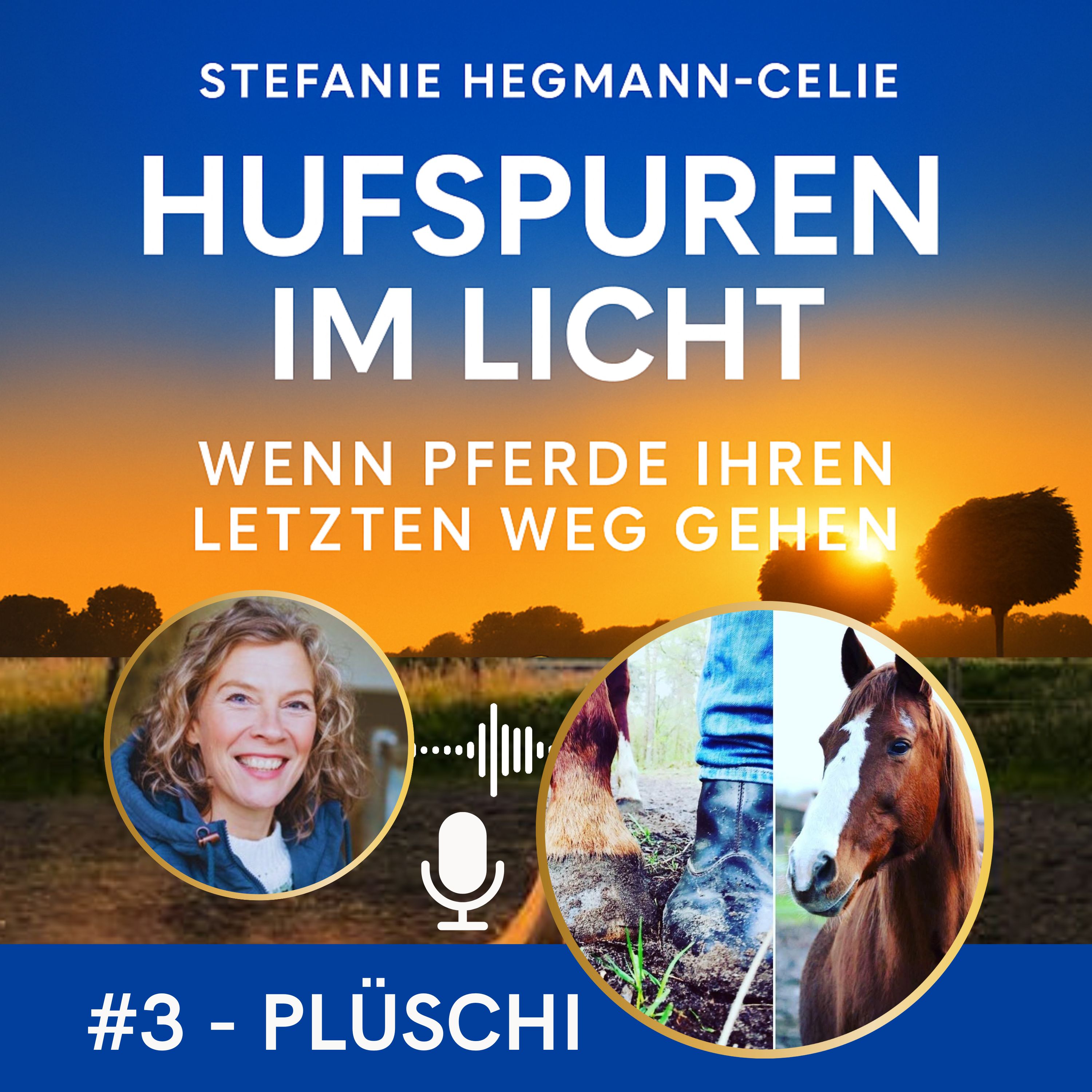 #3 - Plüschi: Eine tiefe Seelenverbindung, die weiterlebt. episode artwork