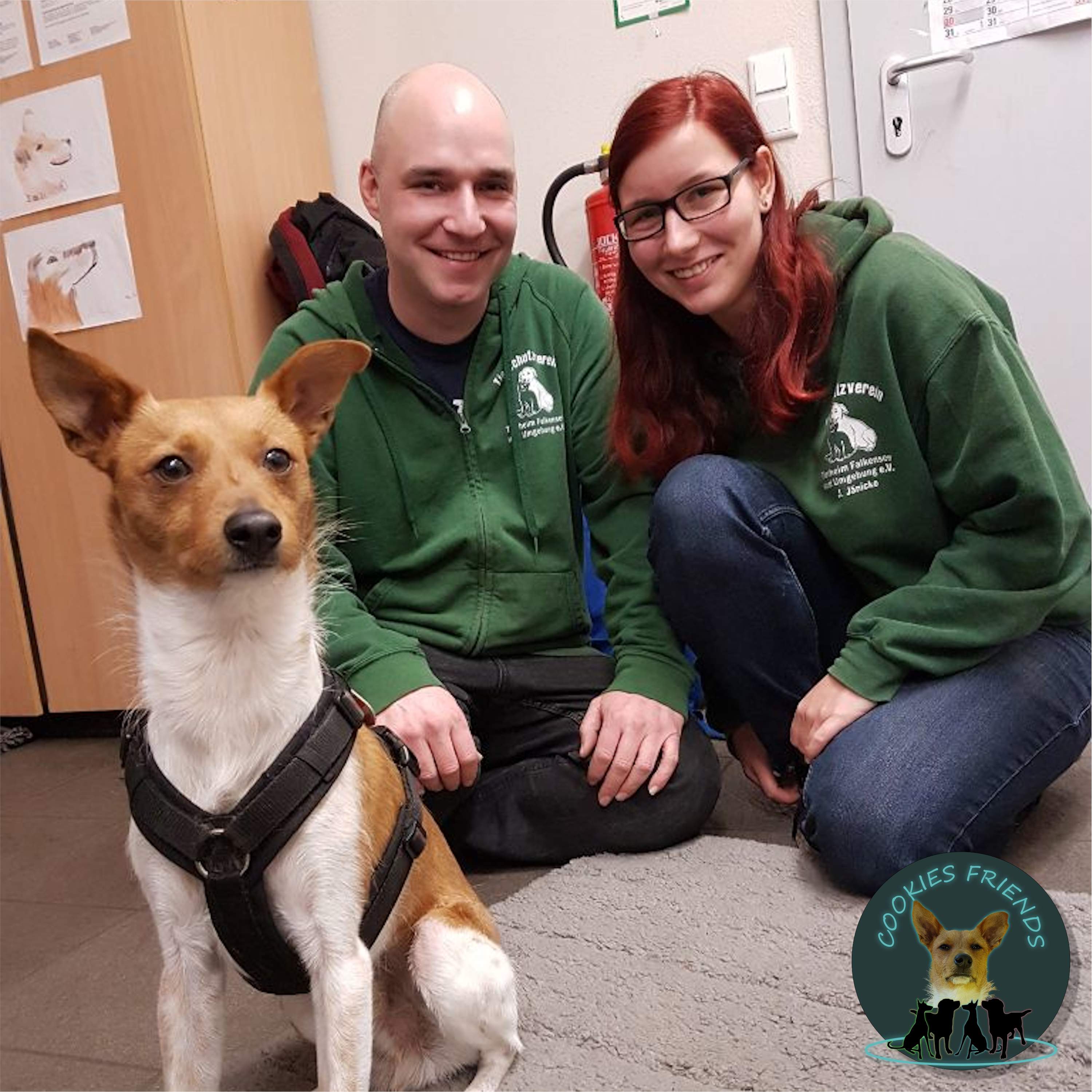 Cookies Friends. Der Podcast für Tierschutz-Hunde