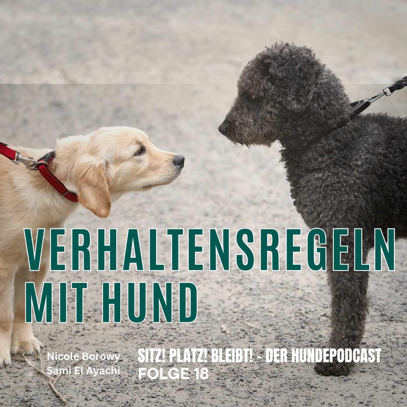 #18 Knigge mit Hund - so klappt´s in der Öffentlichkeit