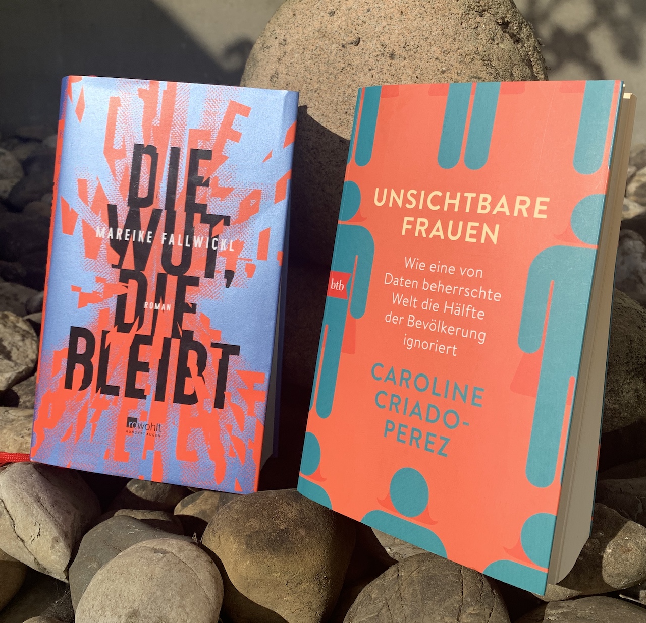 Katjas und Inas Buchgestöber