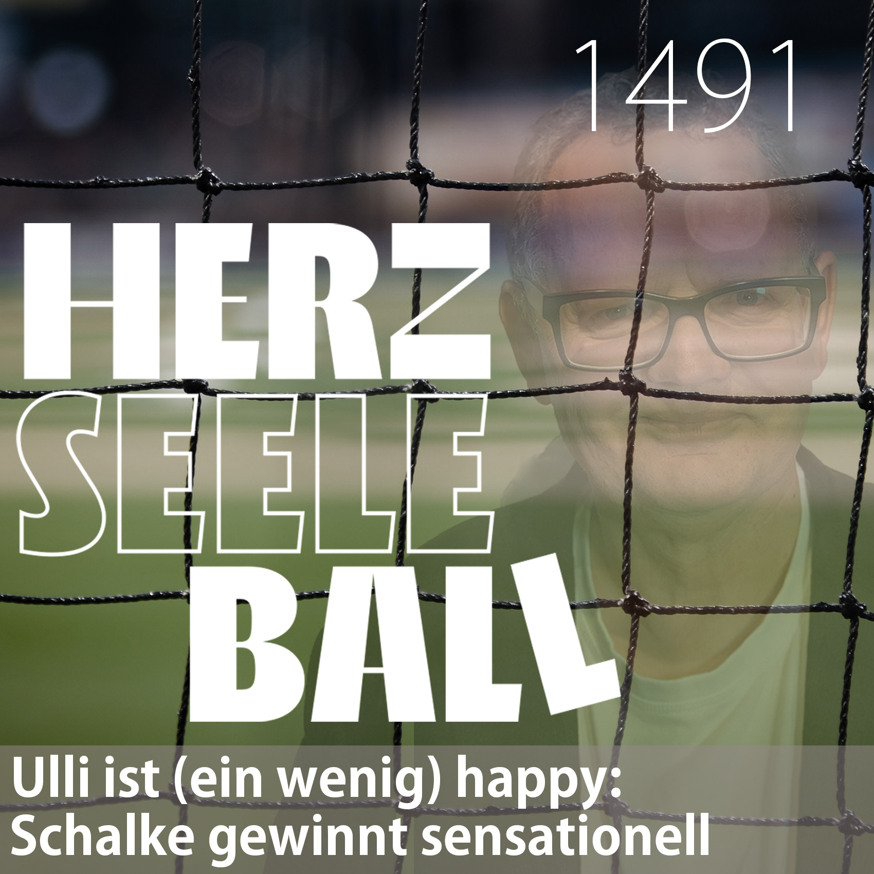 Herz • Seele • Ball • Folge 1491 episode artwork