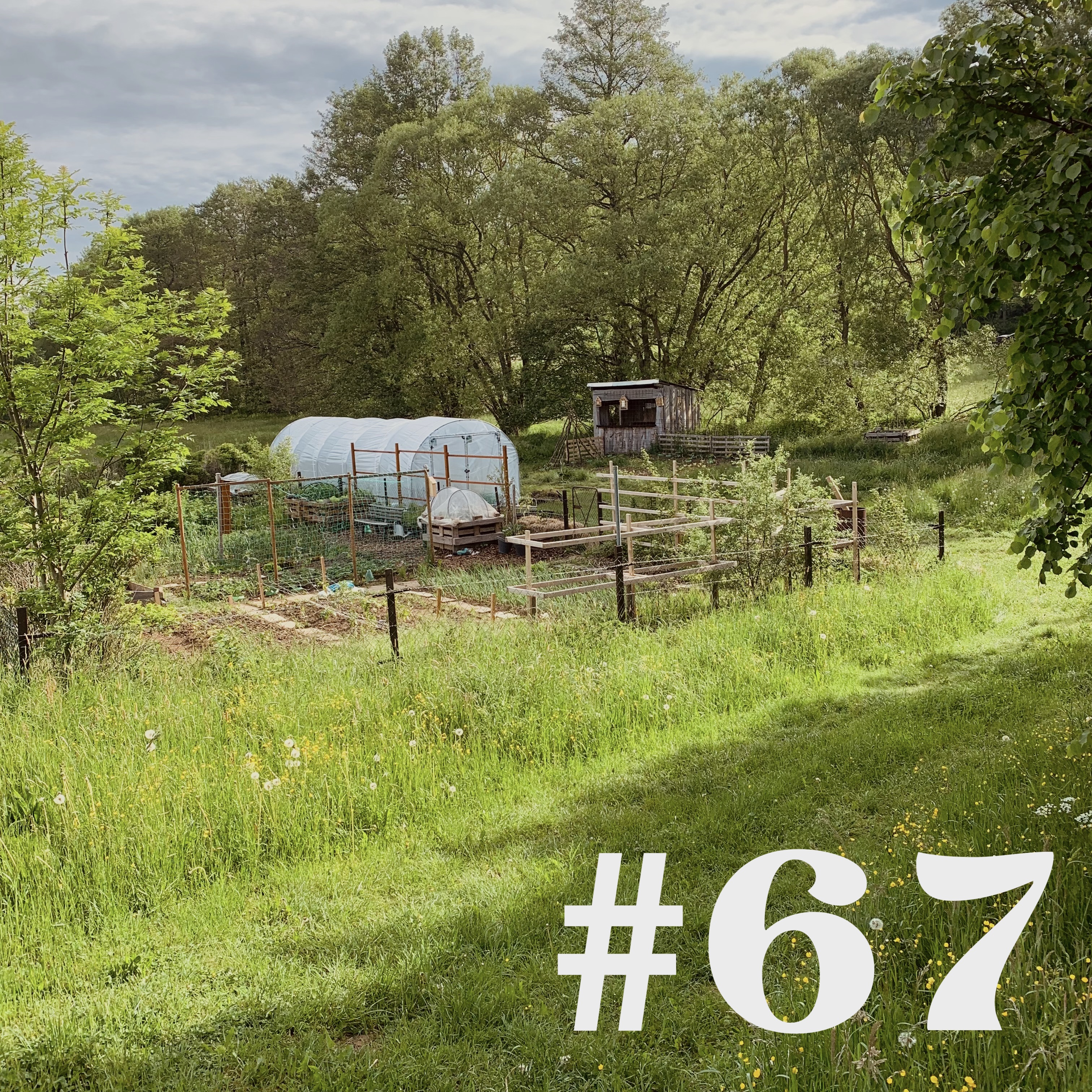 #67 - Rundgang im Garten Ede episode artwork