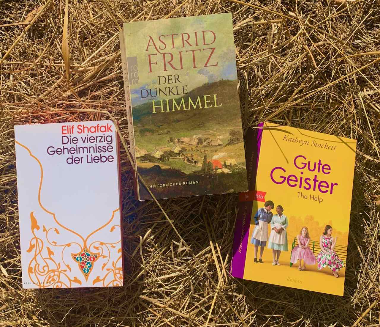Katjas und Inas Buchgestöber