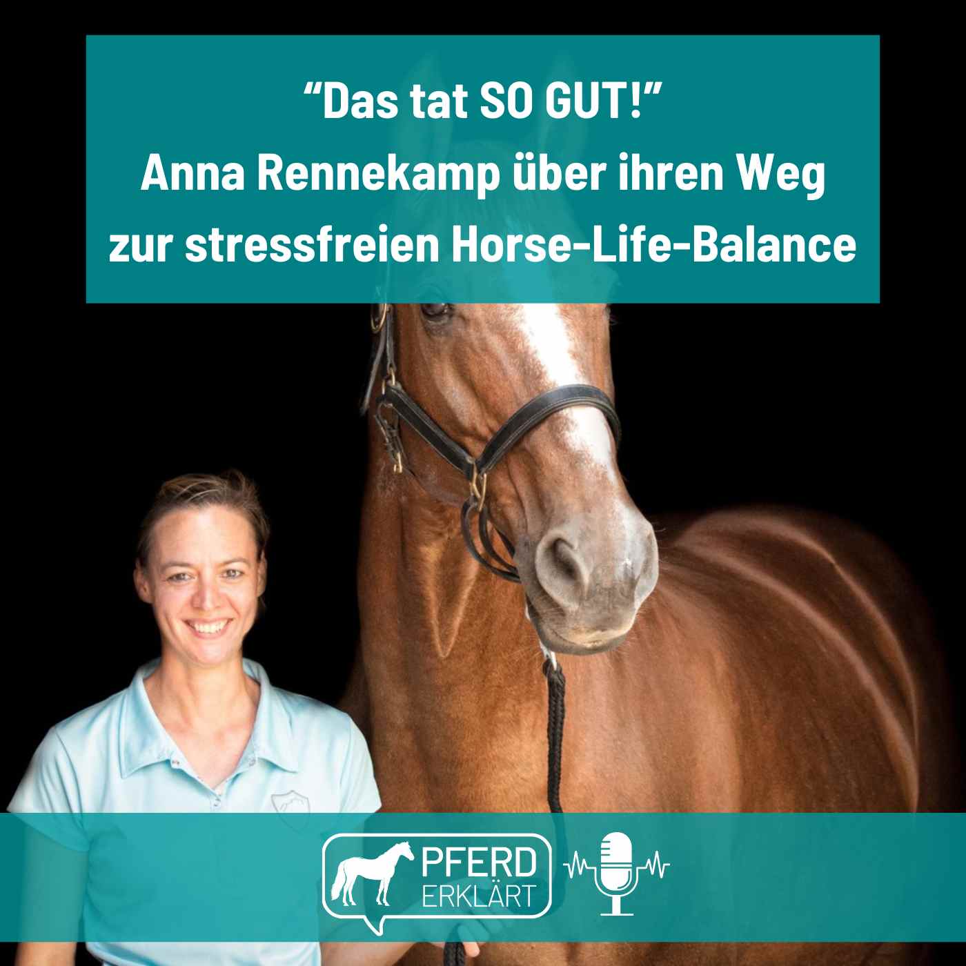 Pferd erklärt