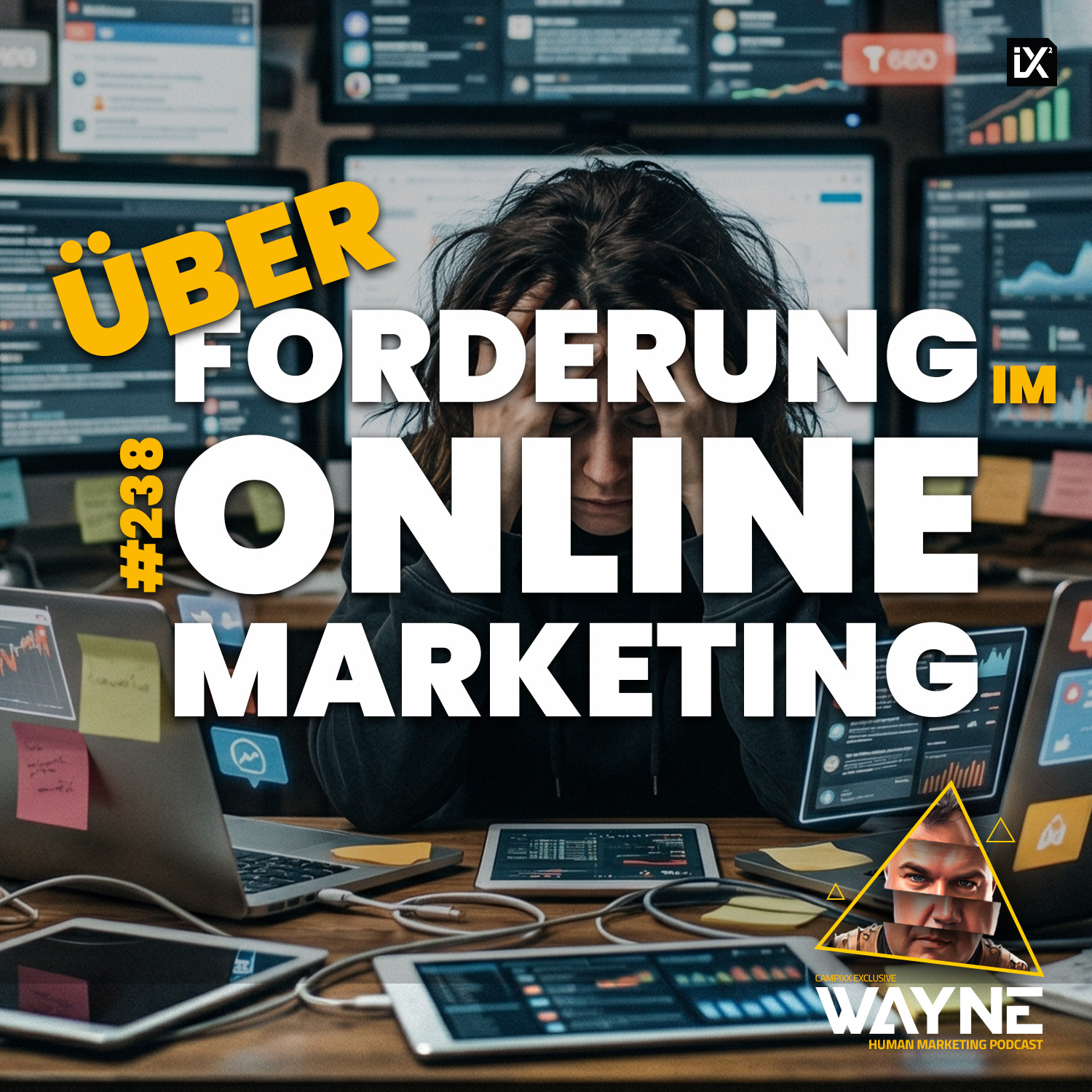 Überforderung im Online Marketing | WAYNE #238 episode artwork