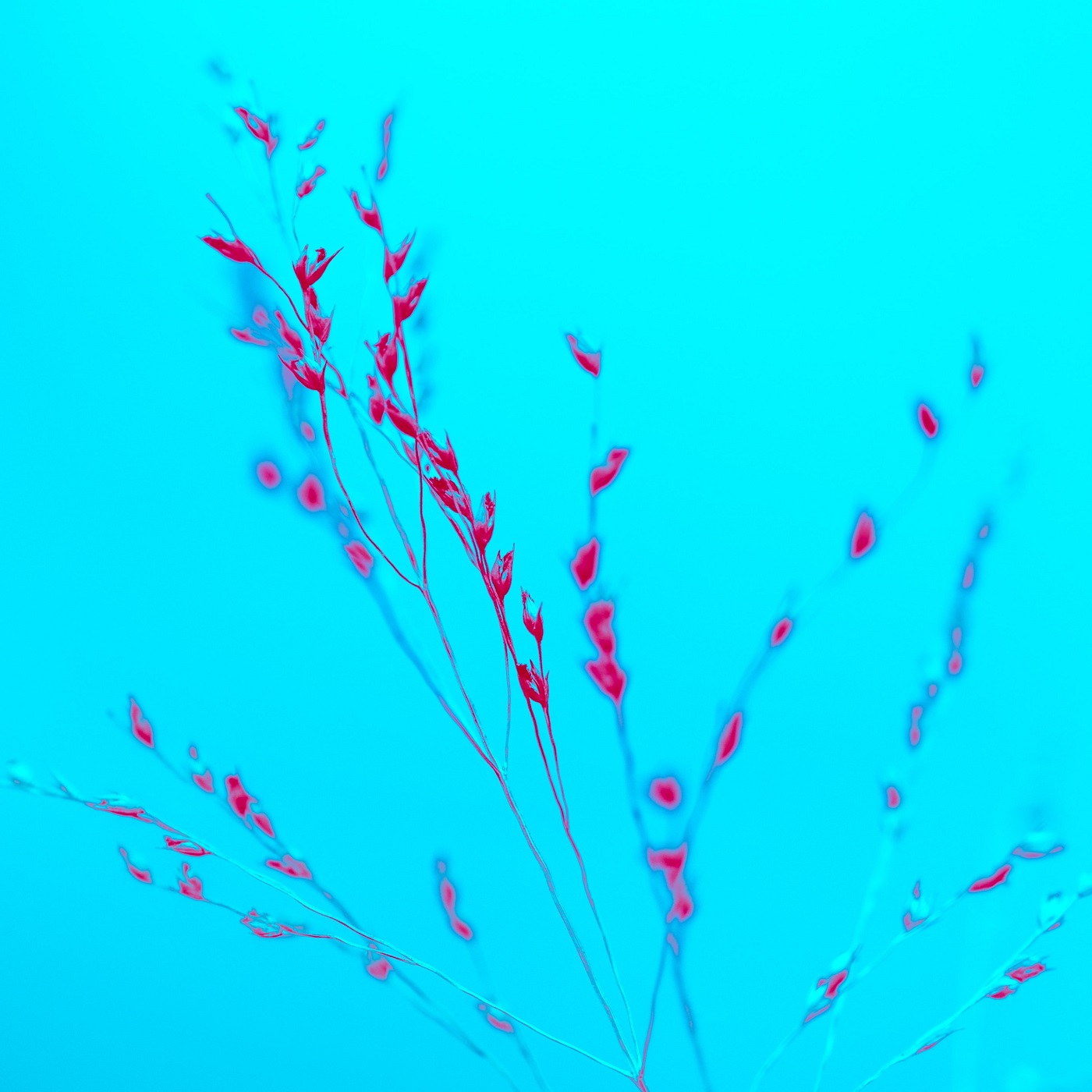 Gott hat das erste Wort (EG 199)