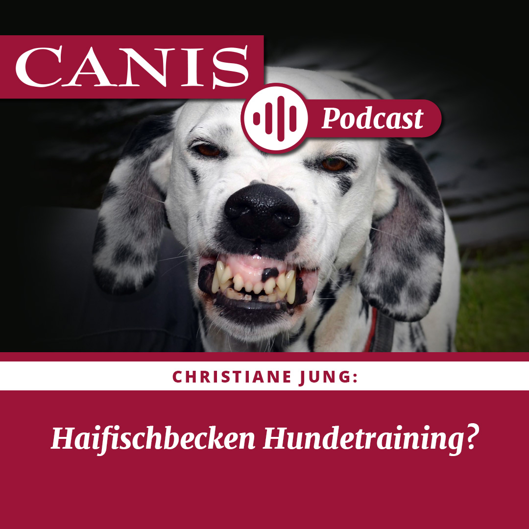Der CANIS-Podcast – Hundeexpert:innen ausgefragt