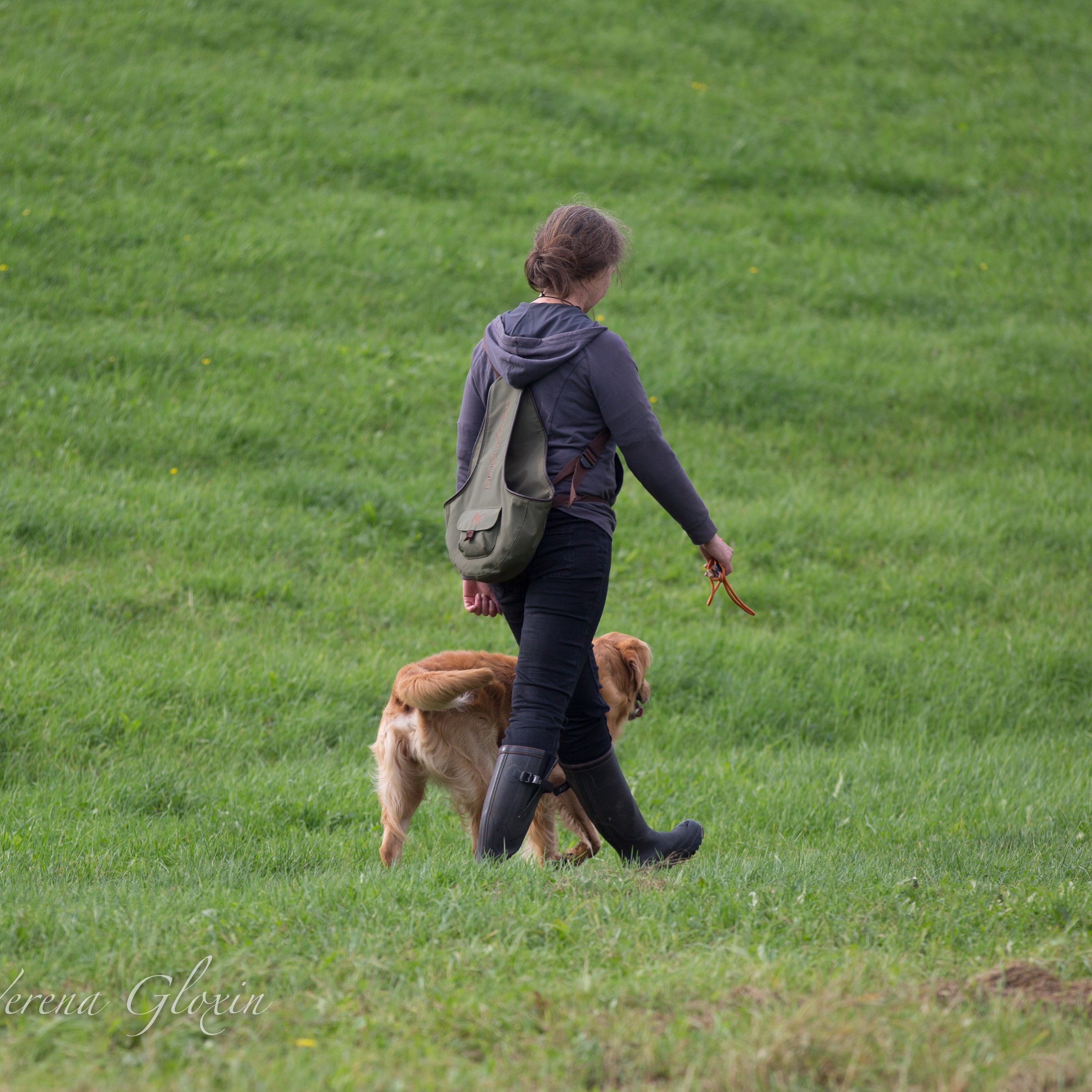 P002: Wie korrigiere ich meinen Hund sinnvoll in der Fußarbeit episode artwork
