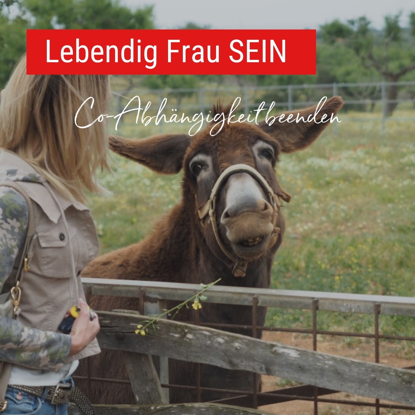 Mensch SEIN auf Deine Art