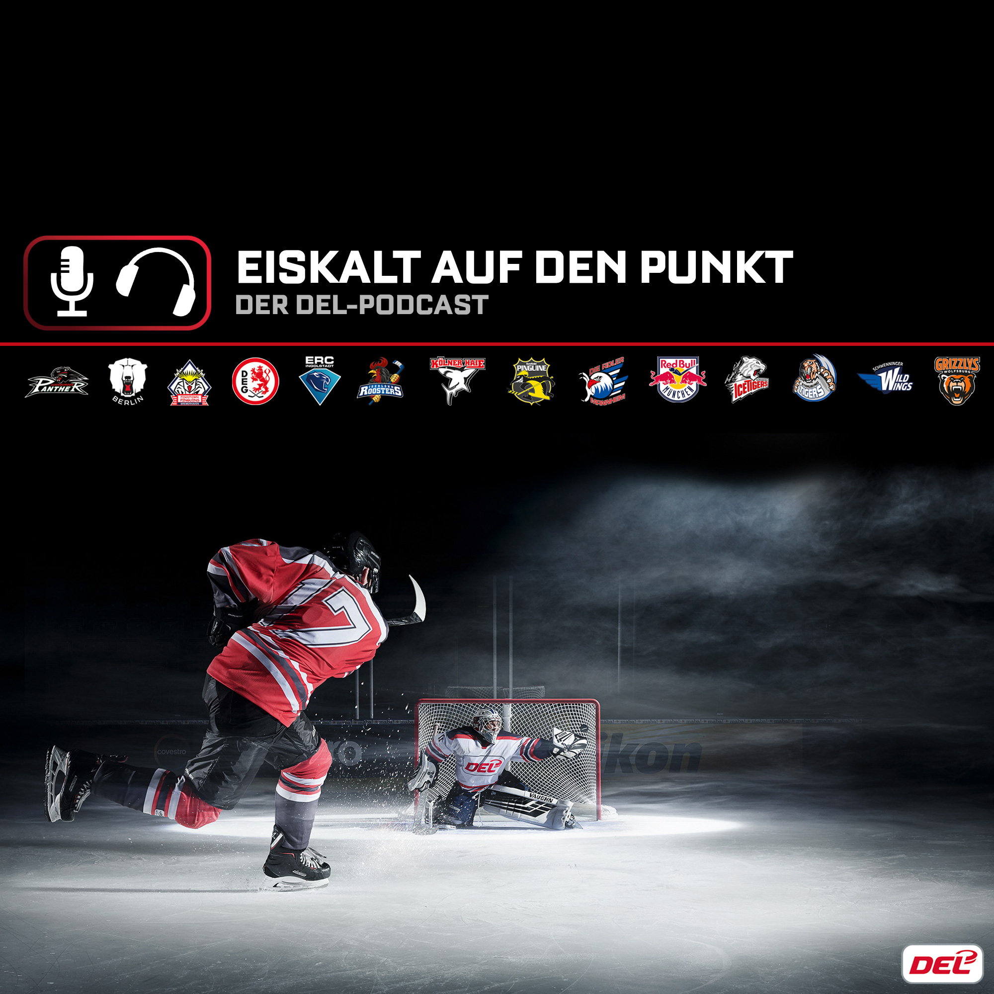 Eiskalt auf den Punkt - der offizielle DEL-Podcast