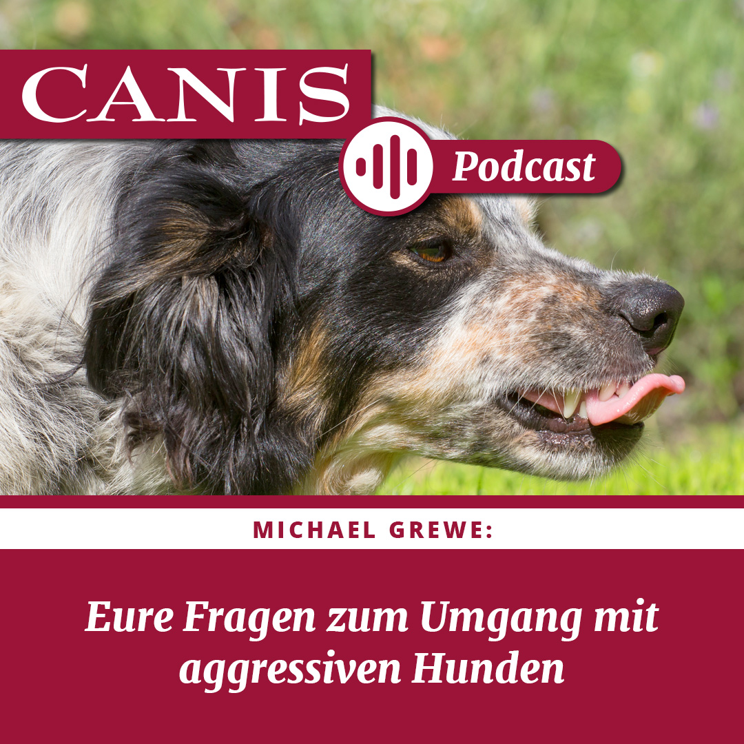 Der CANIS-Podcast – Hundeexpert:innen ausgefragt