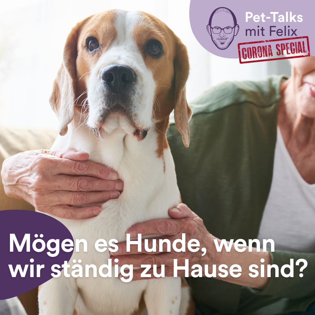 Pet-Talks: Klartext – der Interview-Podcast von DeineTierwelt