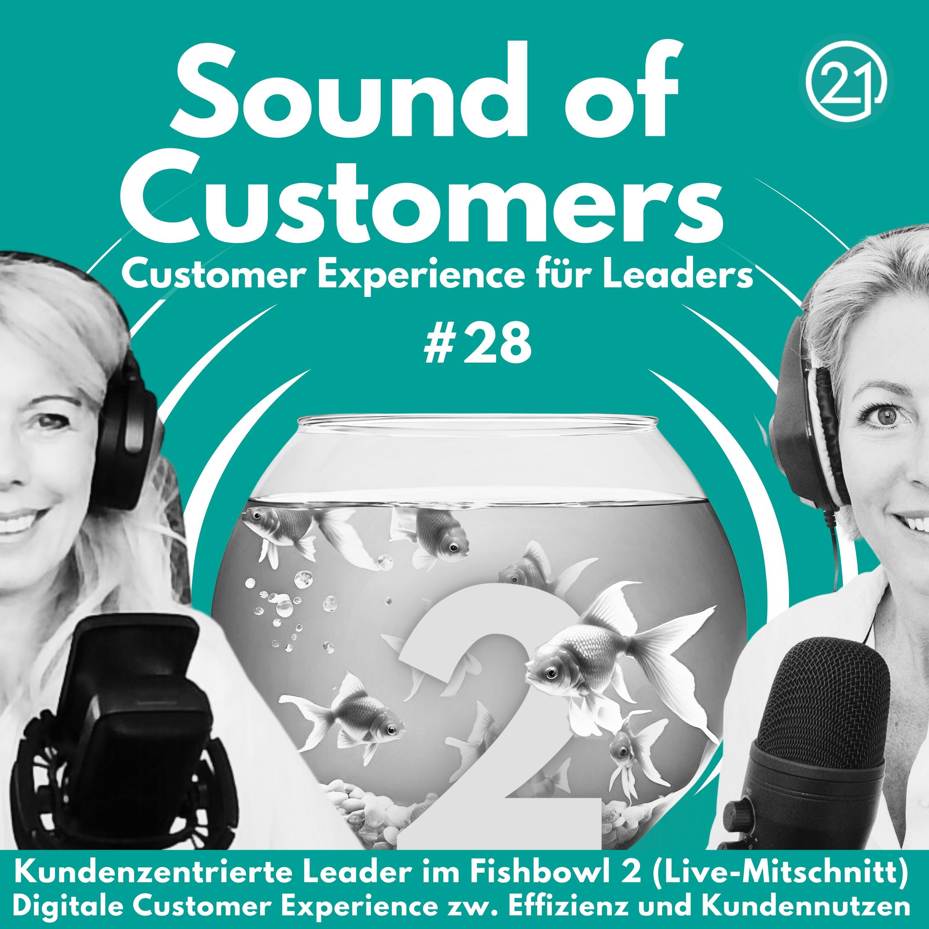 Sound of Customers