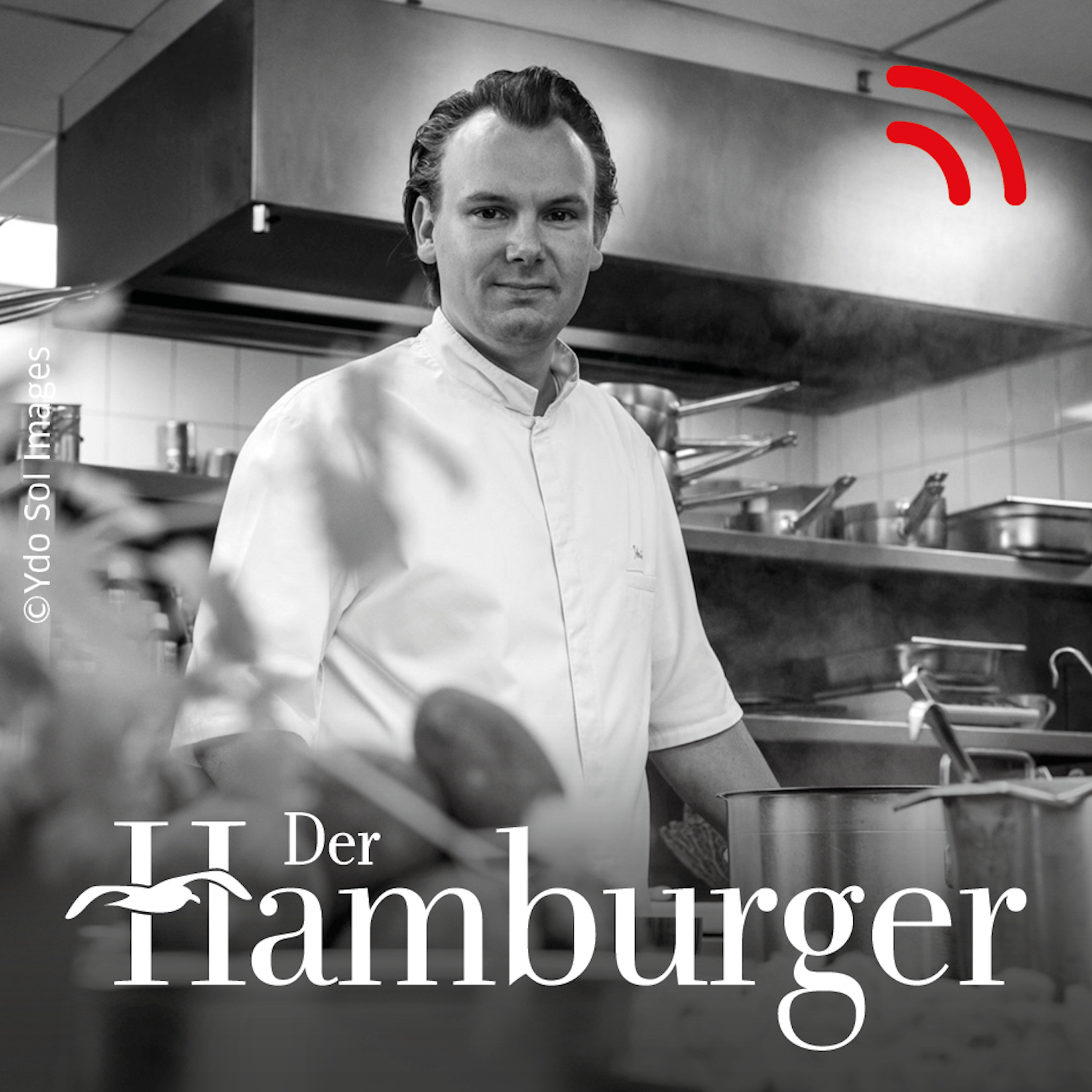 DER HAMBURGER Inside. Stimmen dieser Stadt