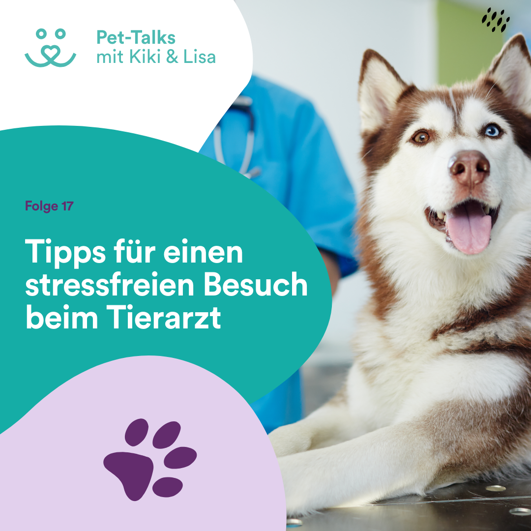 Pet-Talks mit Kiki & Lisa - der Hunde-Podcast von DeineTierwelt