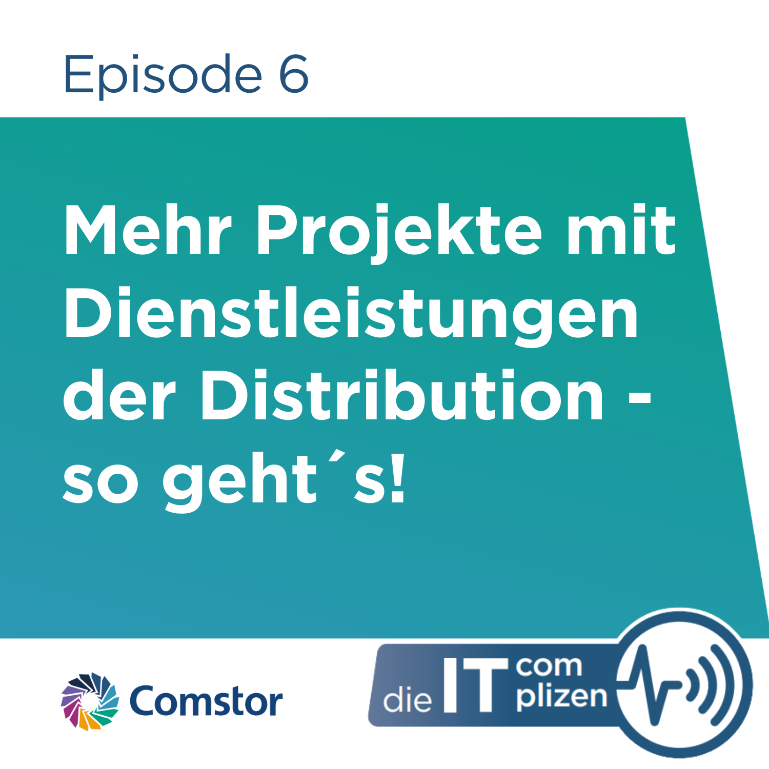 Comstor - Die IT Complizen