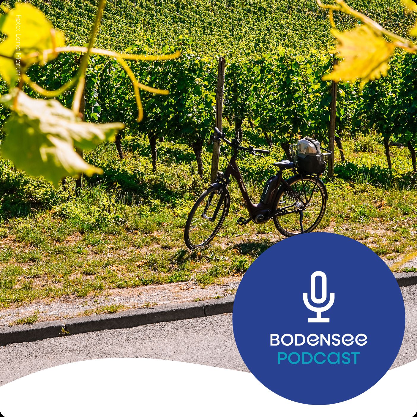 Der Bodenseeradweg: Gut zu wissen! episode artwork