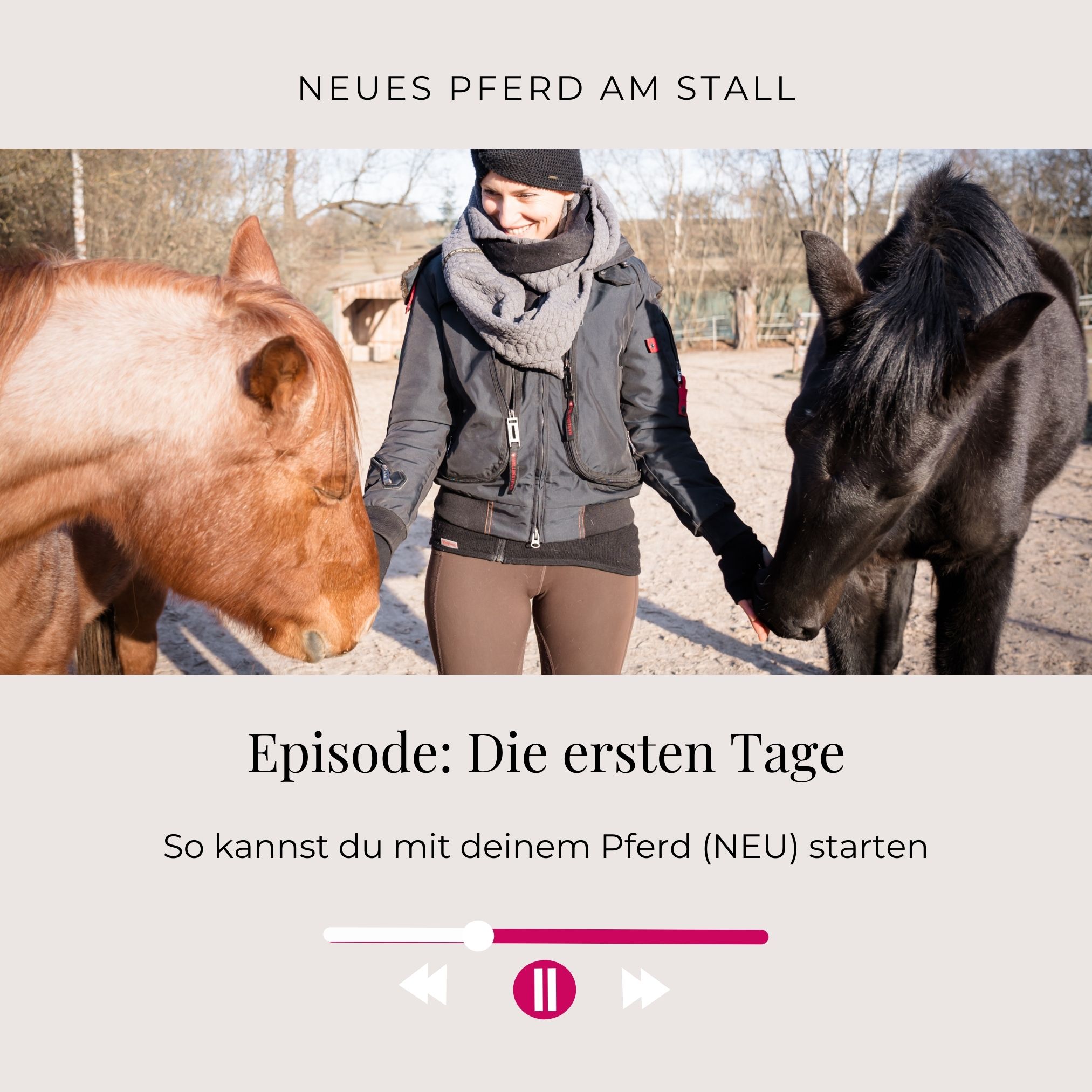 Pferdeflüsterei TO GO! Für Pferdemenschen mit Herz