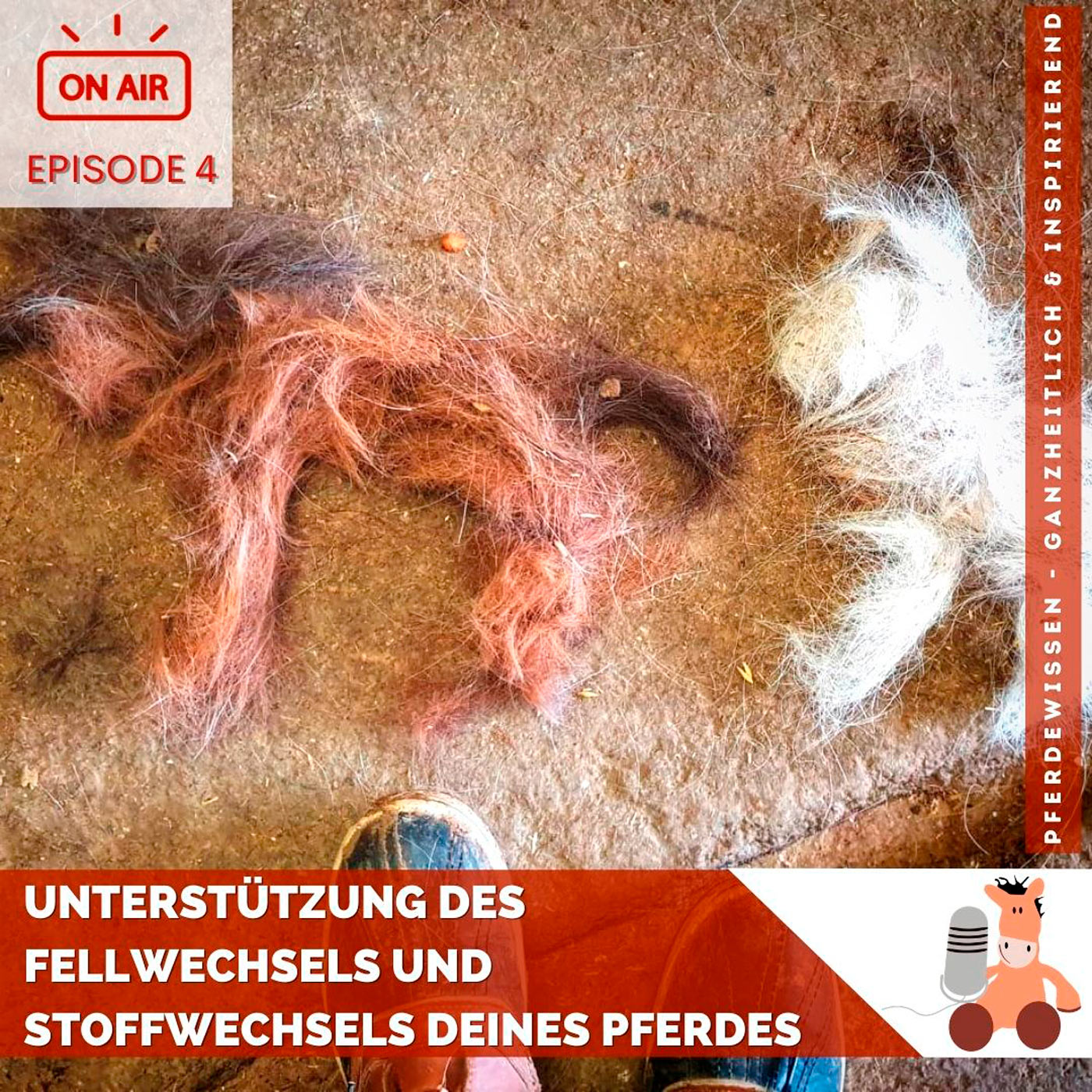 Unterstützung des Fellwechsels & Stoffwechsels Deines Pferdes