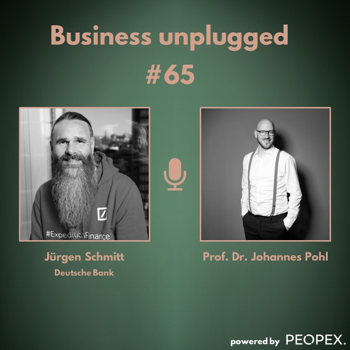 Business unplugged - Menschen, Unternehmen und Aspekte der Digitalisierung