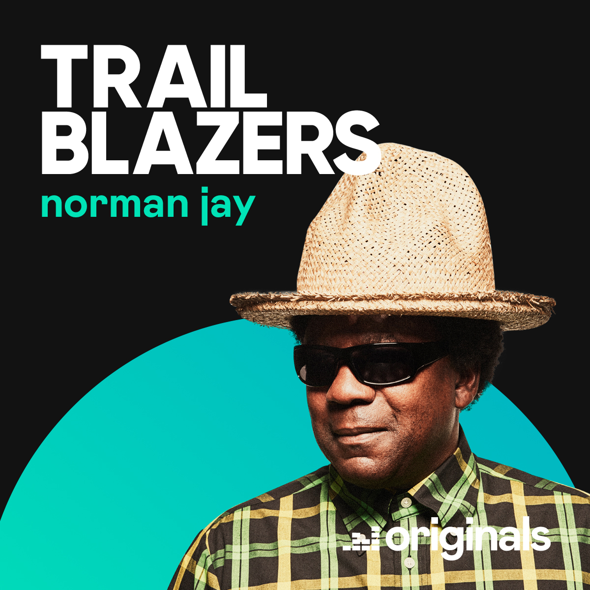 Trailblazers: electronic pioneers