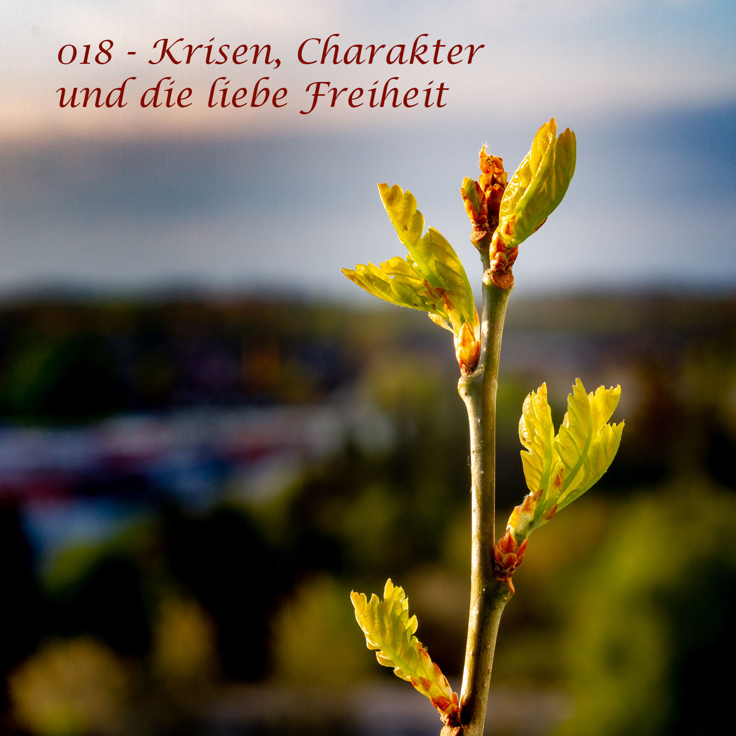Artikel Eins