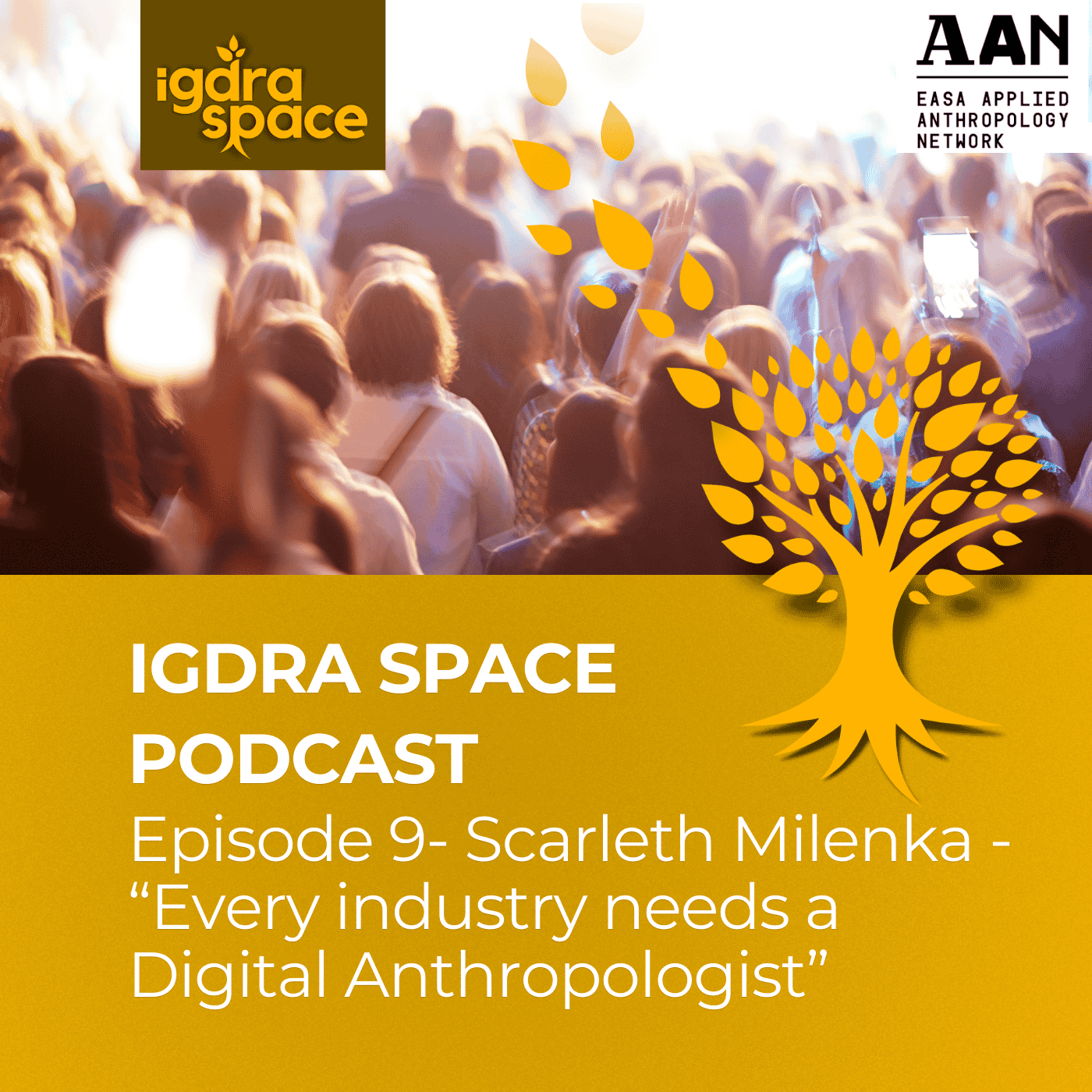 igdra space podcast 2 - Applied Anthropology - the gamechanger for 21st century companies