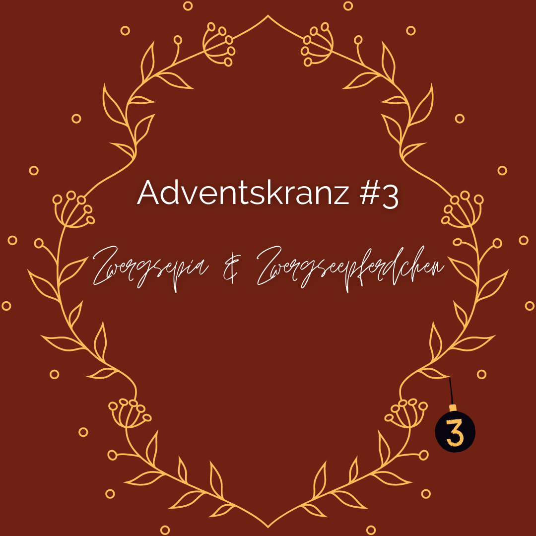 #diedreimjf - Adventskranz 2021 Kerze 3: Zwergsepia und Zwergseepferdchen episode artwork