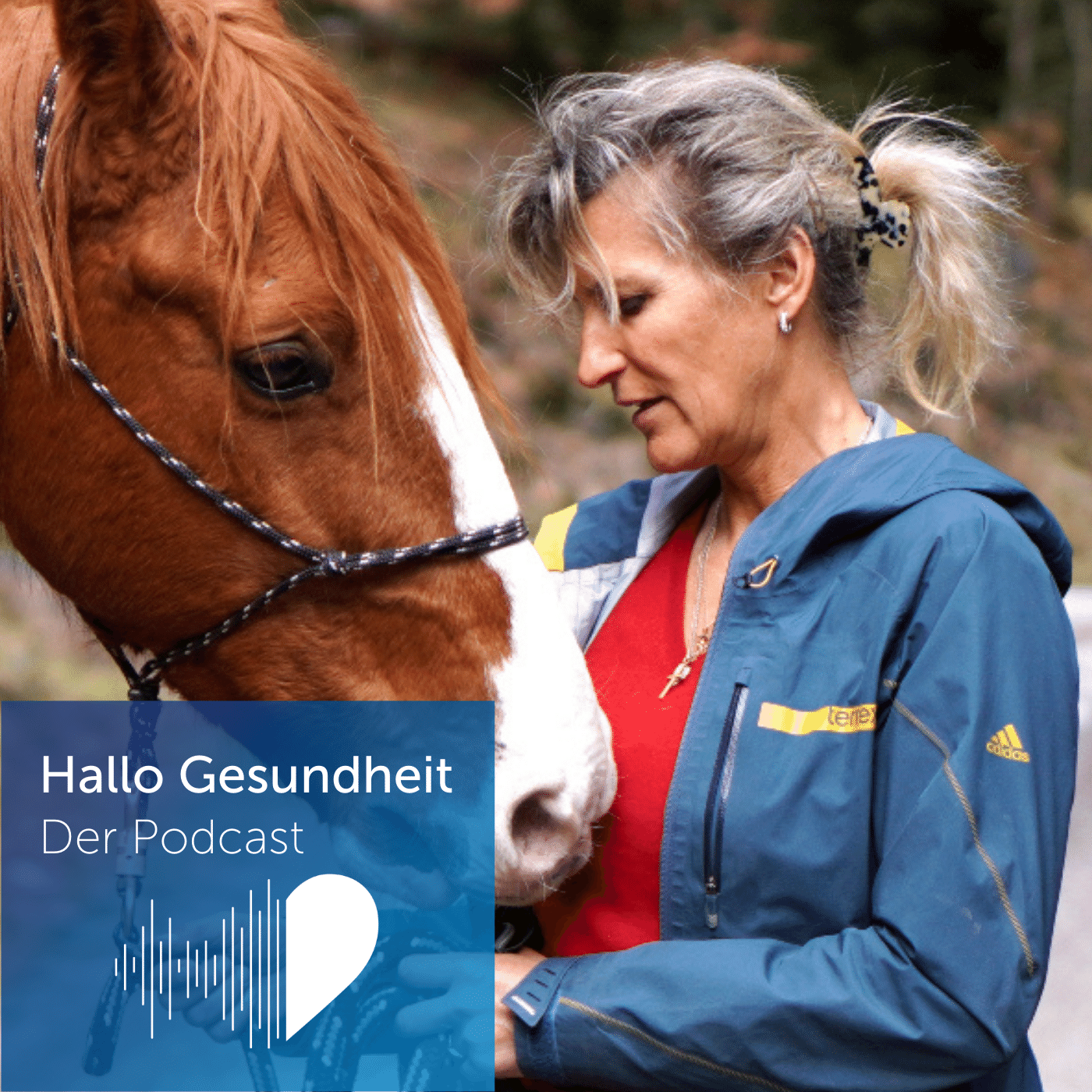 Hallo Gesundheit – Der Podcast der CSS
