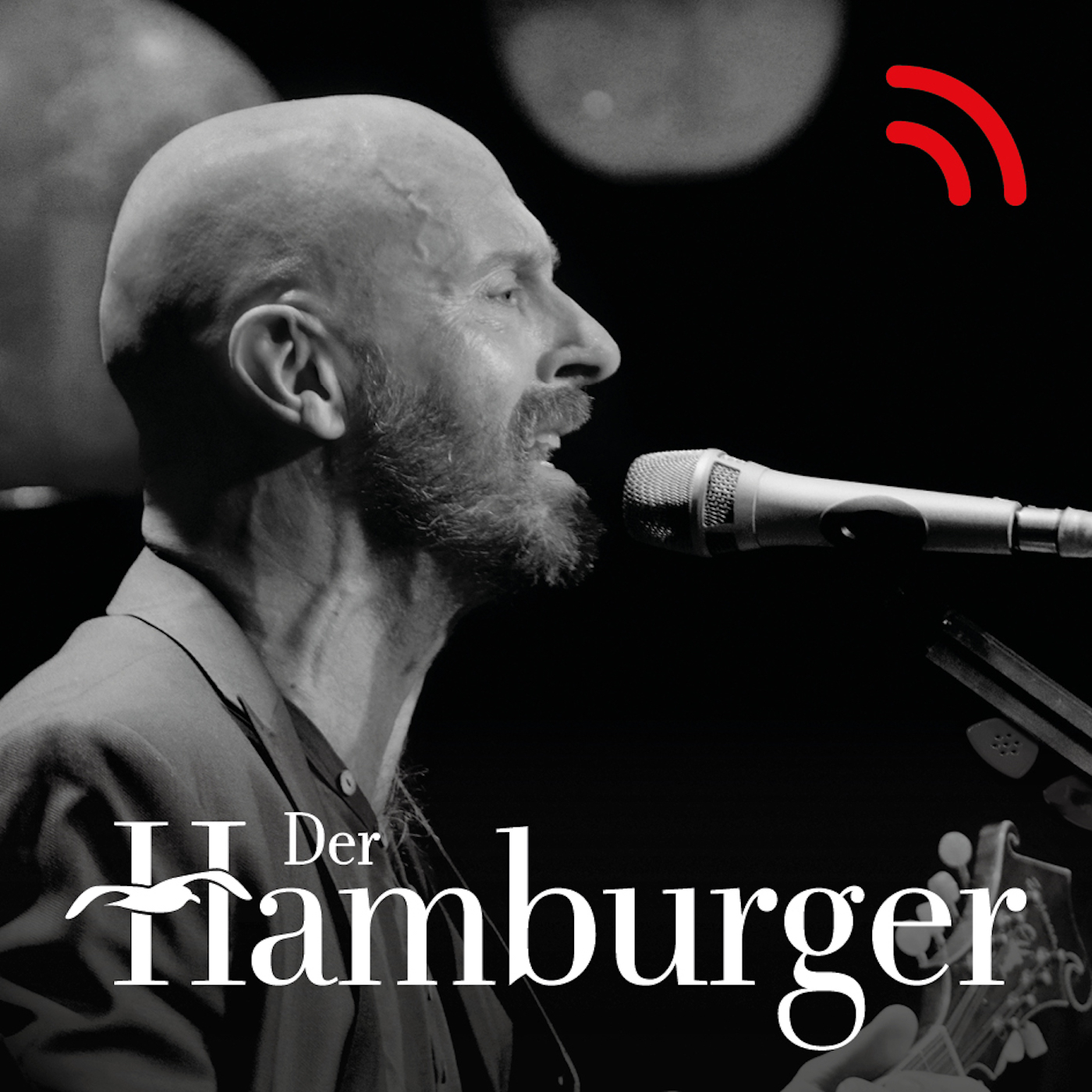 DER HAMBURGER Inside. Stimmen dieser Stadt
