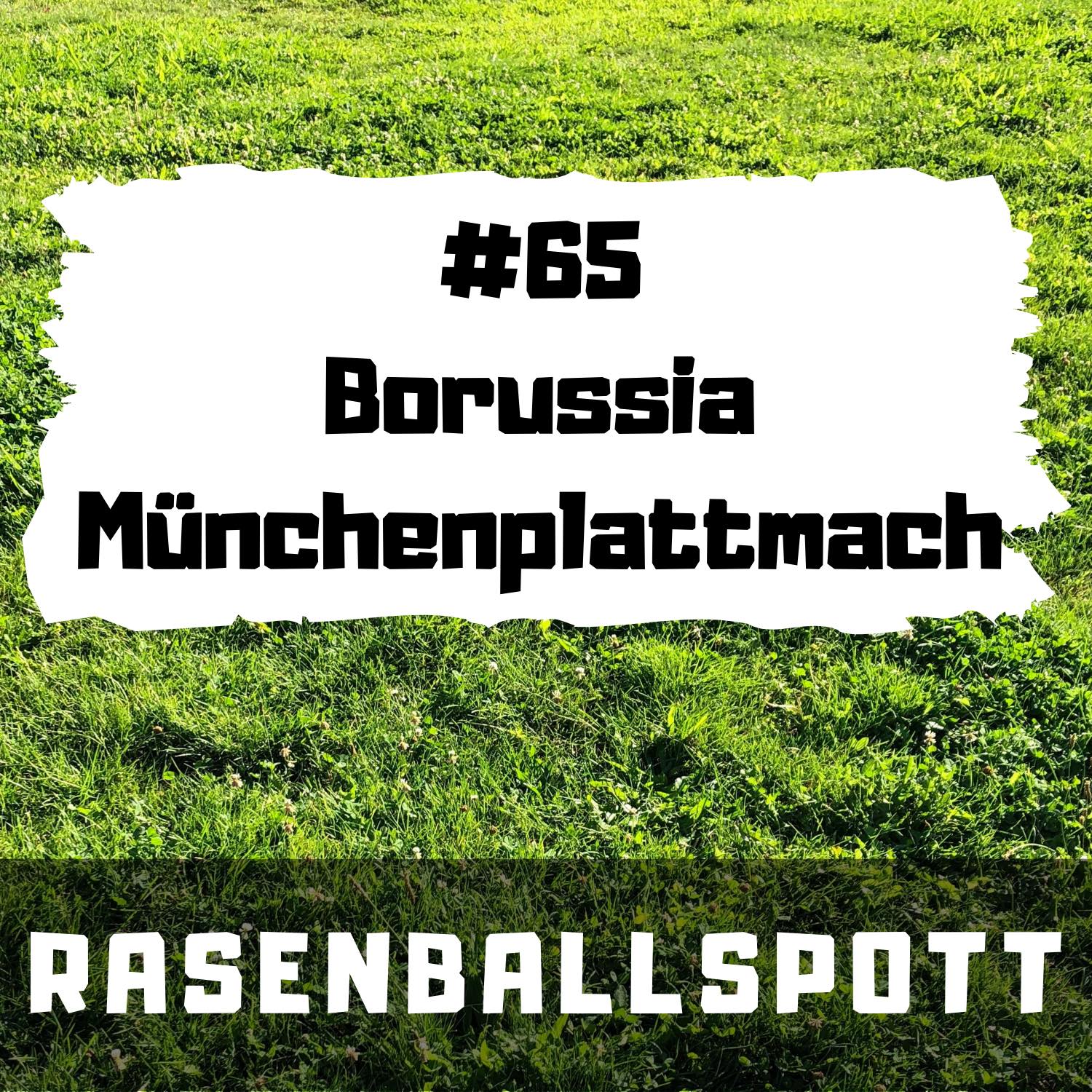 RASENBALLSPOTT