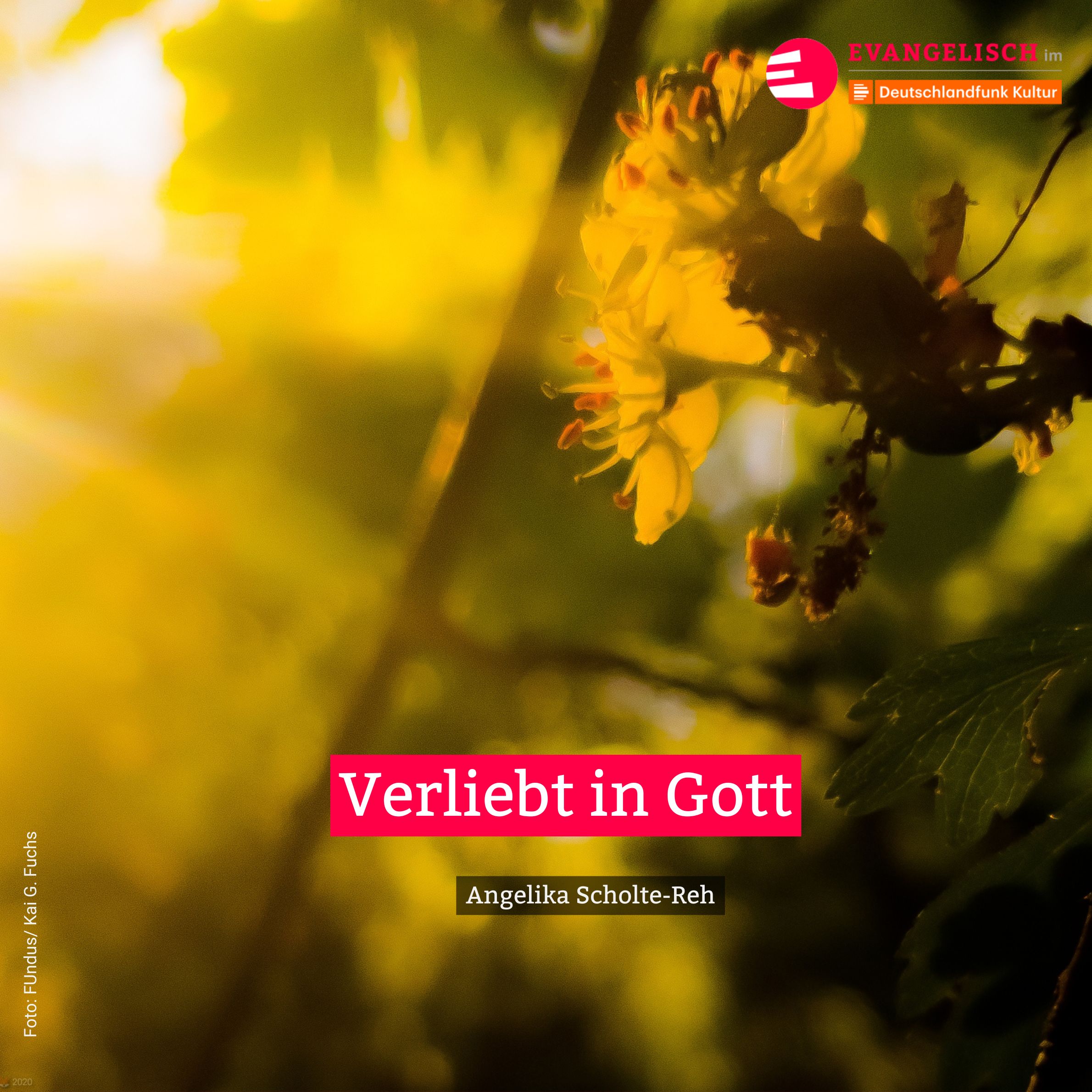 Verliebt in Gott episode artwork