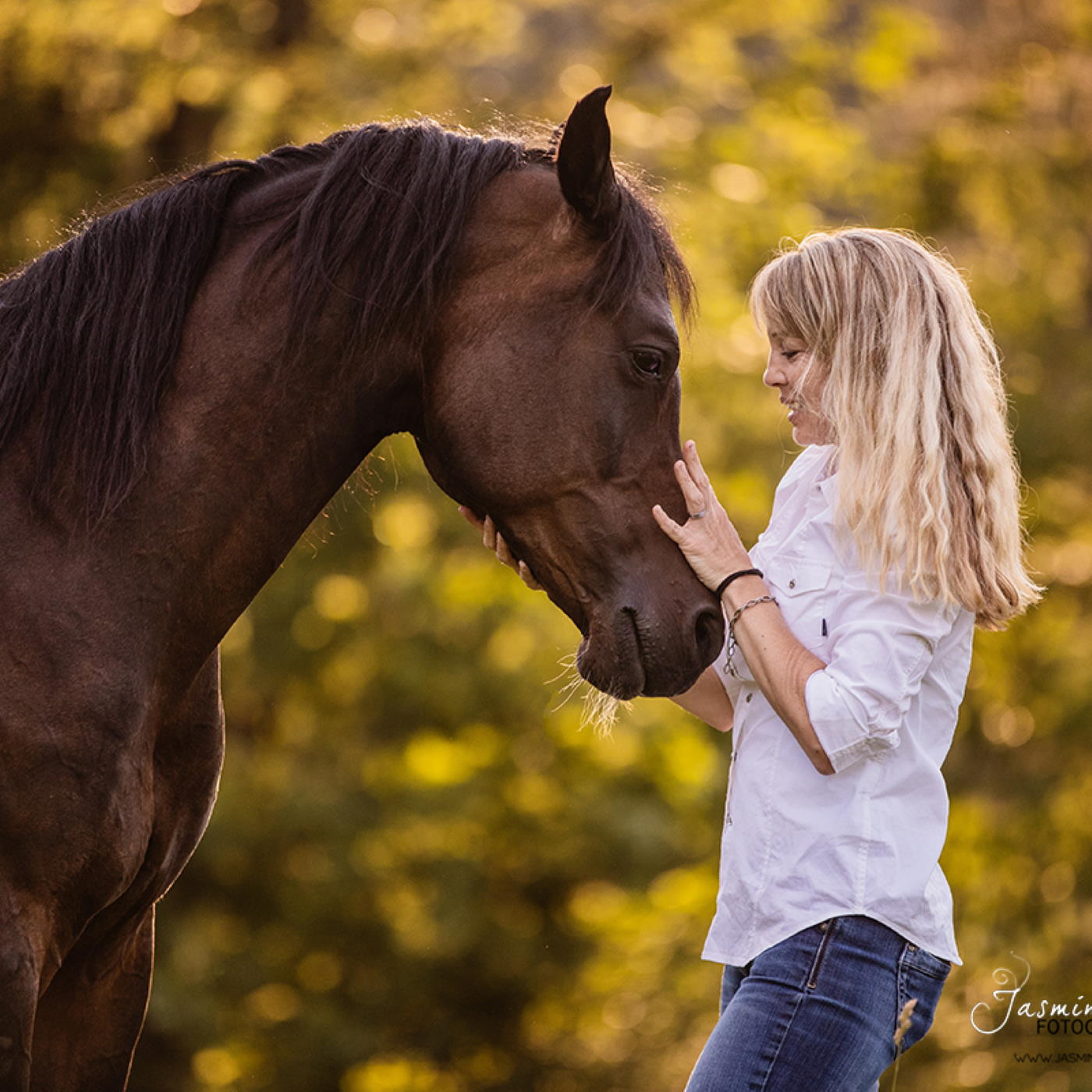 Kann man mit Pferden reden wie im Umgang mit Hunden? Kann man mit Pferden reden wie im Umgang mit Hunden?