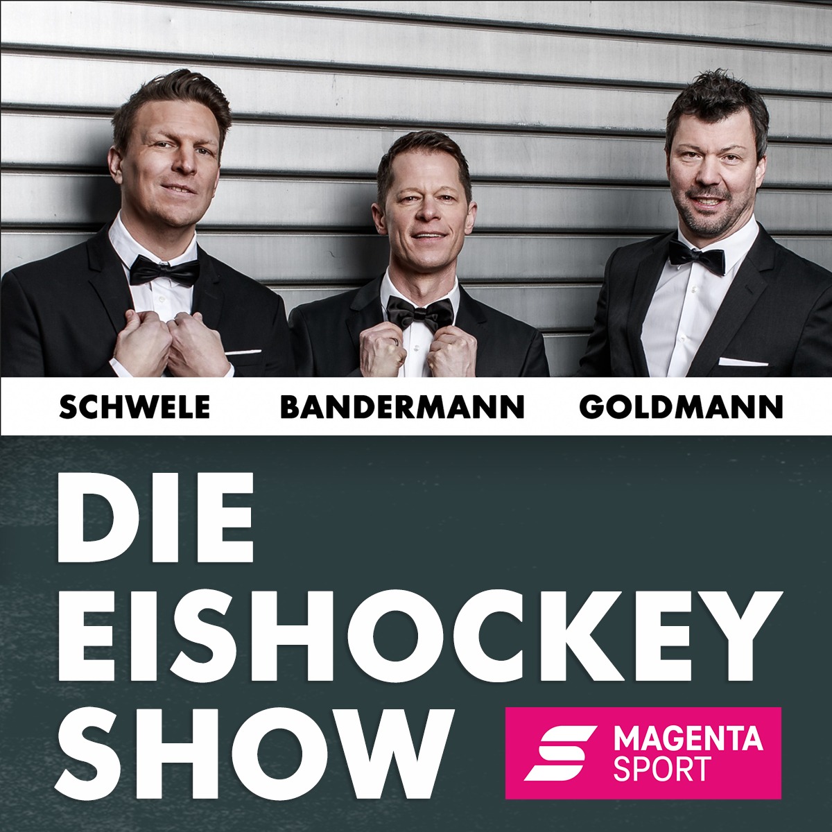 Die Eishockey Show