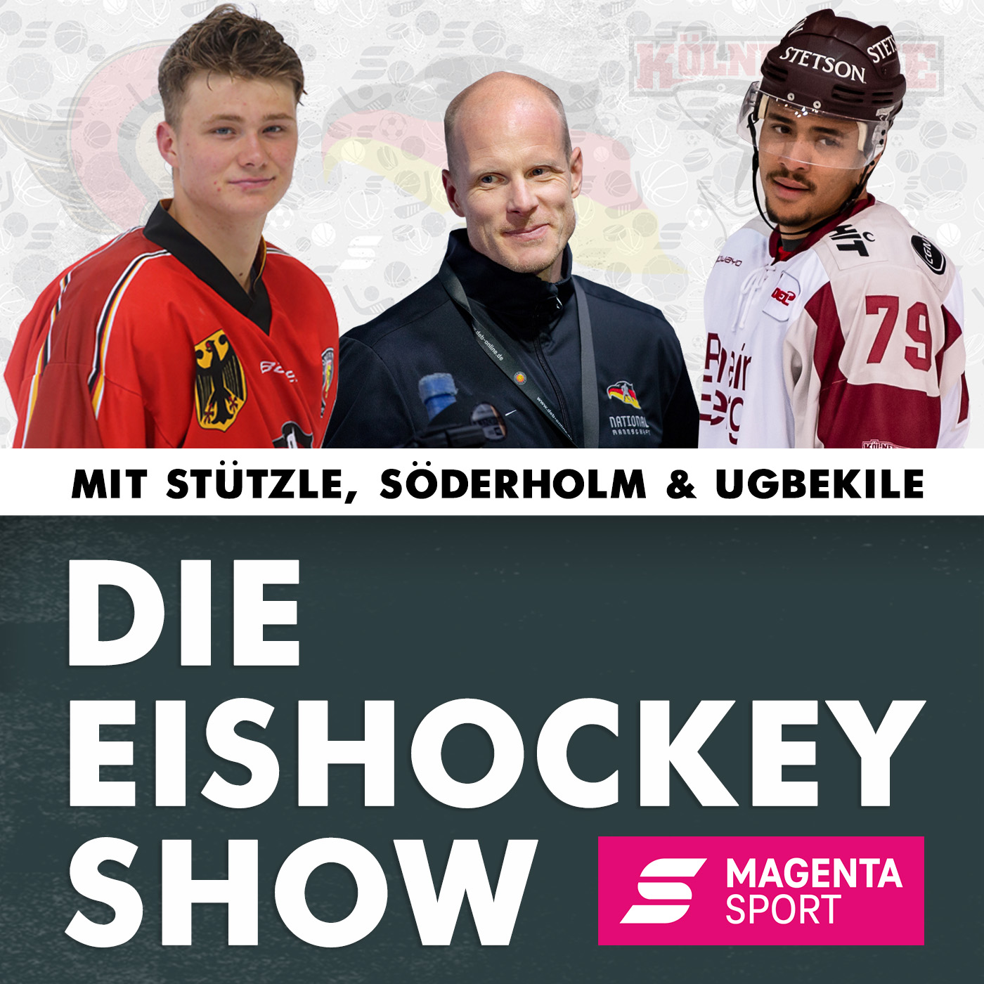 Die Eishockey Show