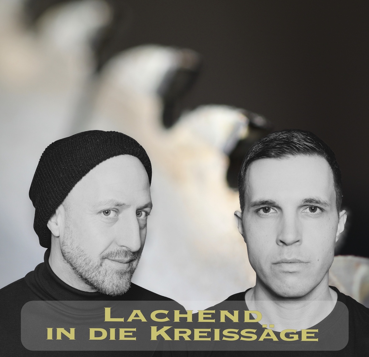 LACHEND IN DIE KREISSÄGE