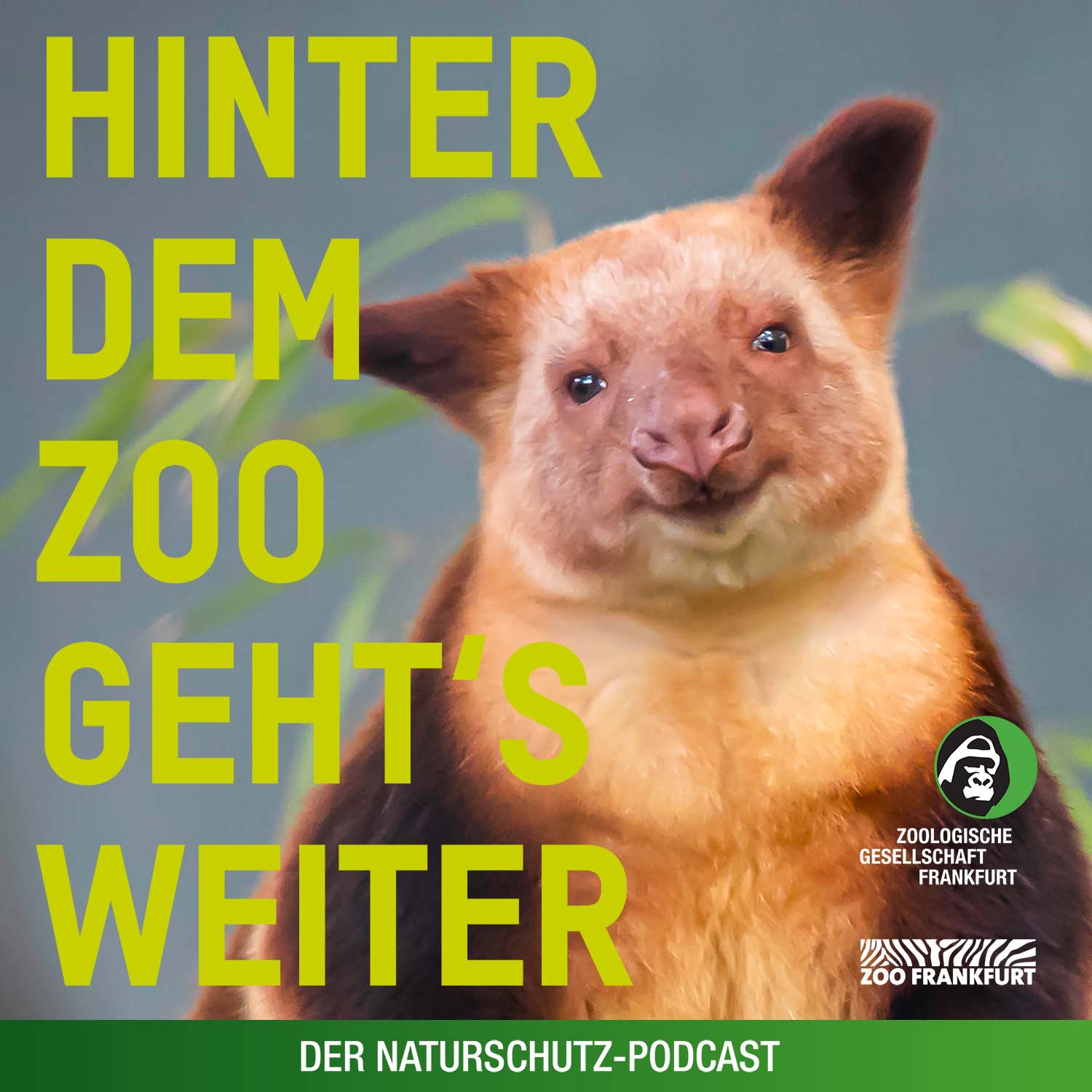 Hinter dem Zoo geht\'s weiter - Der Naturschutzpodcast aus Frankfurt