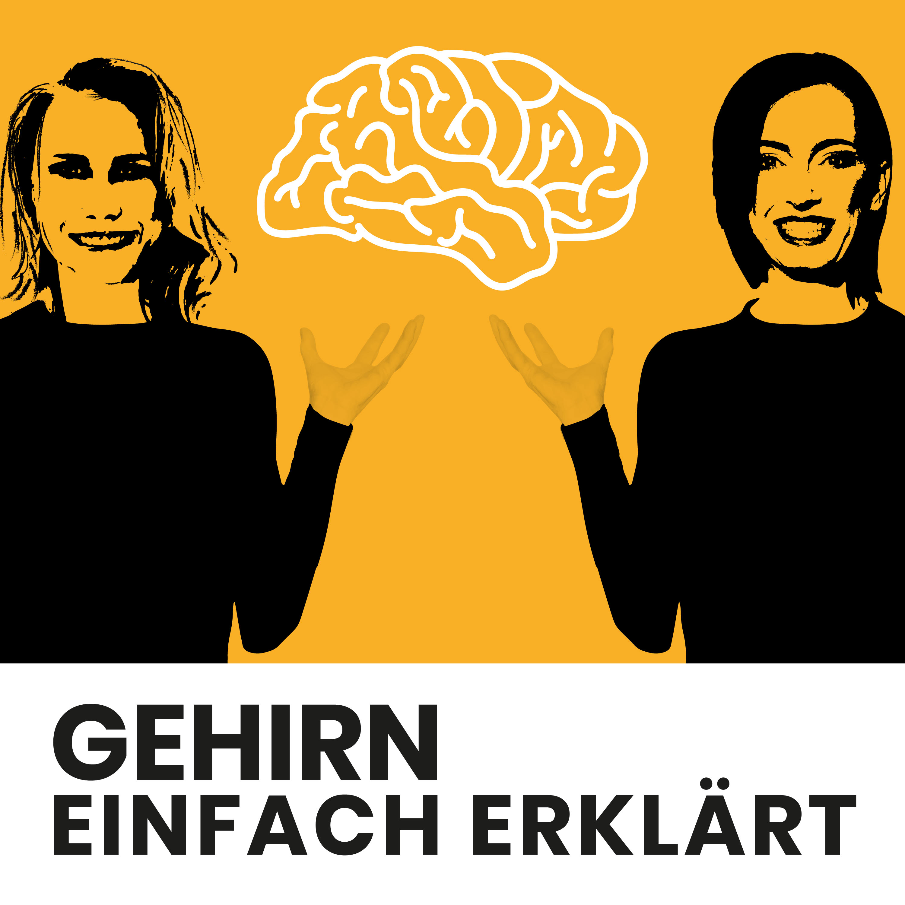 #1: Die linke und rechte Gehirnhälfte