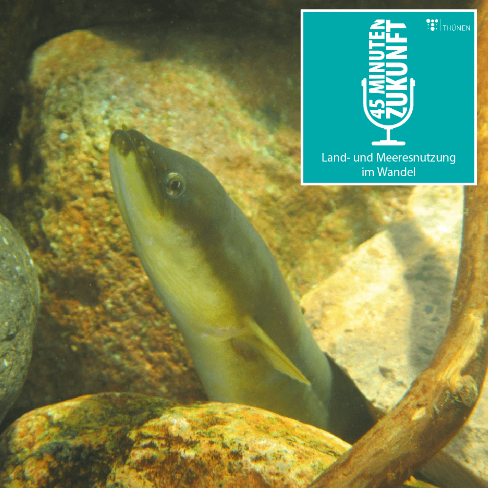 45 Minuten Zukunft. Land- und Meeresnutzung im Wandel
