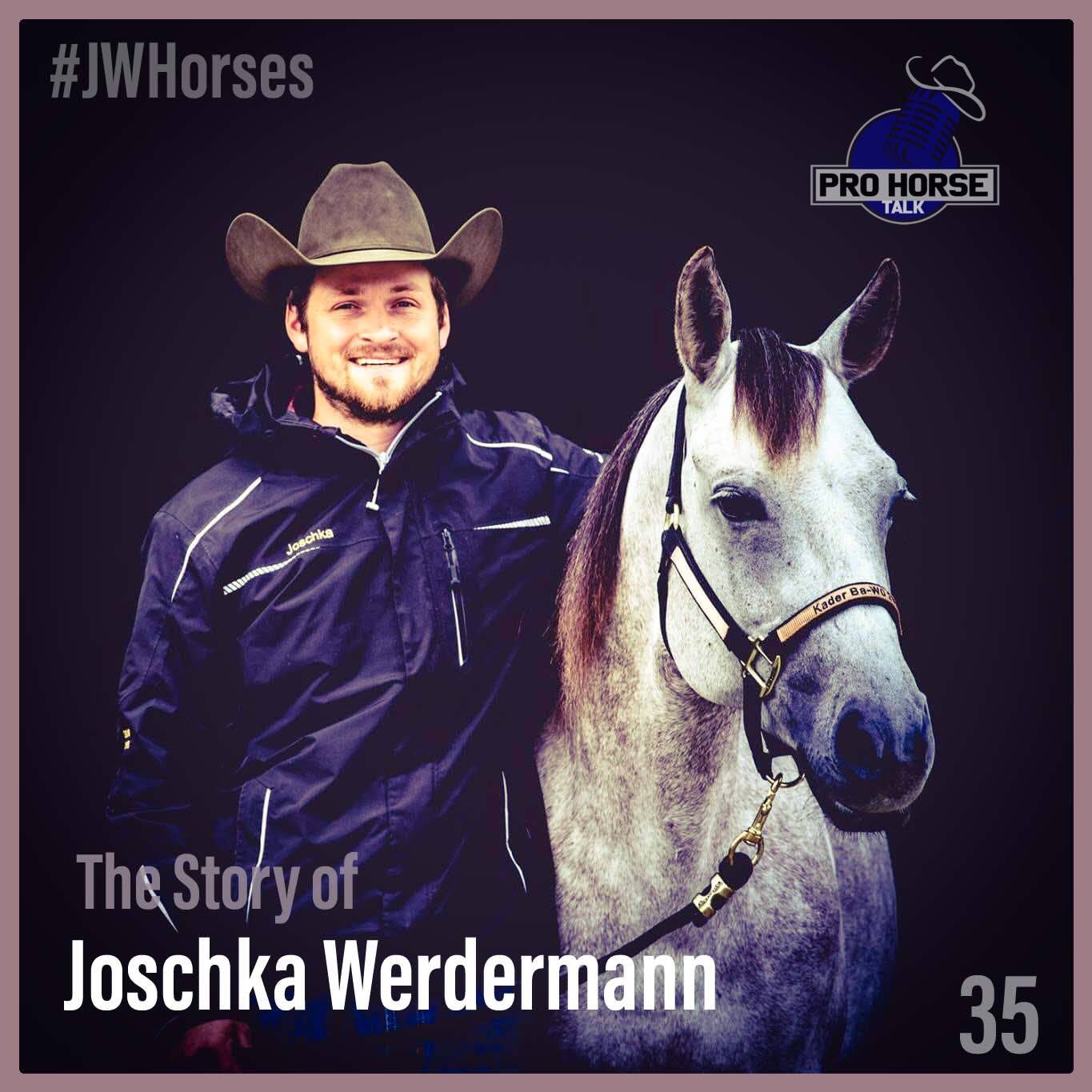 PRO HORSE TALK