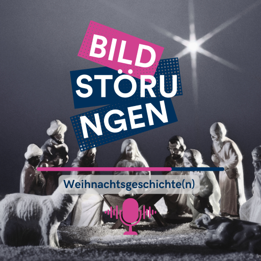Bildstörungen