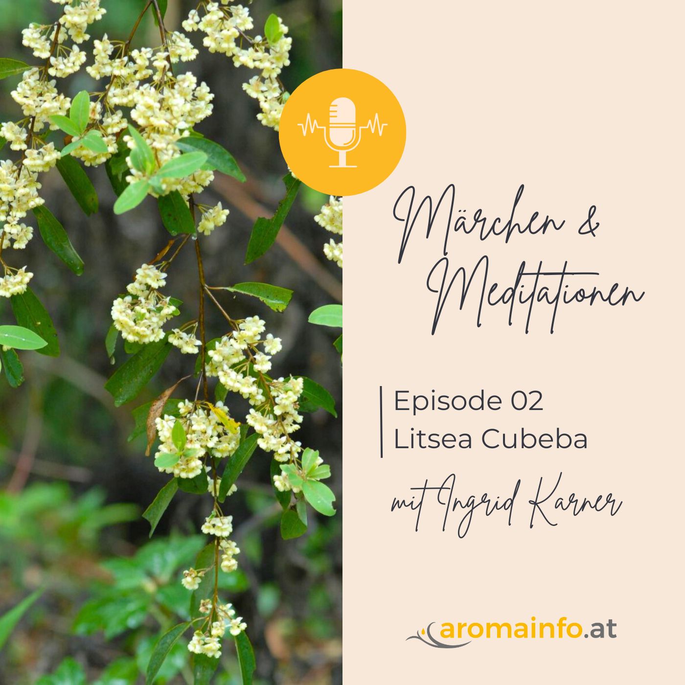 Fragrantia - Märchen & Meditationen mit Duftpflanzen