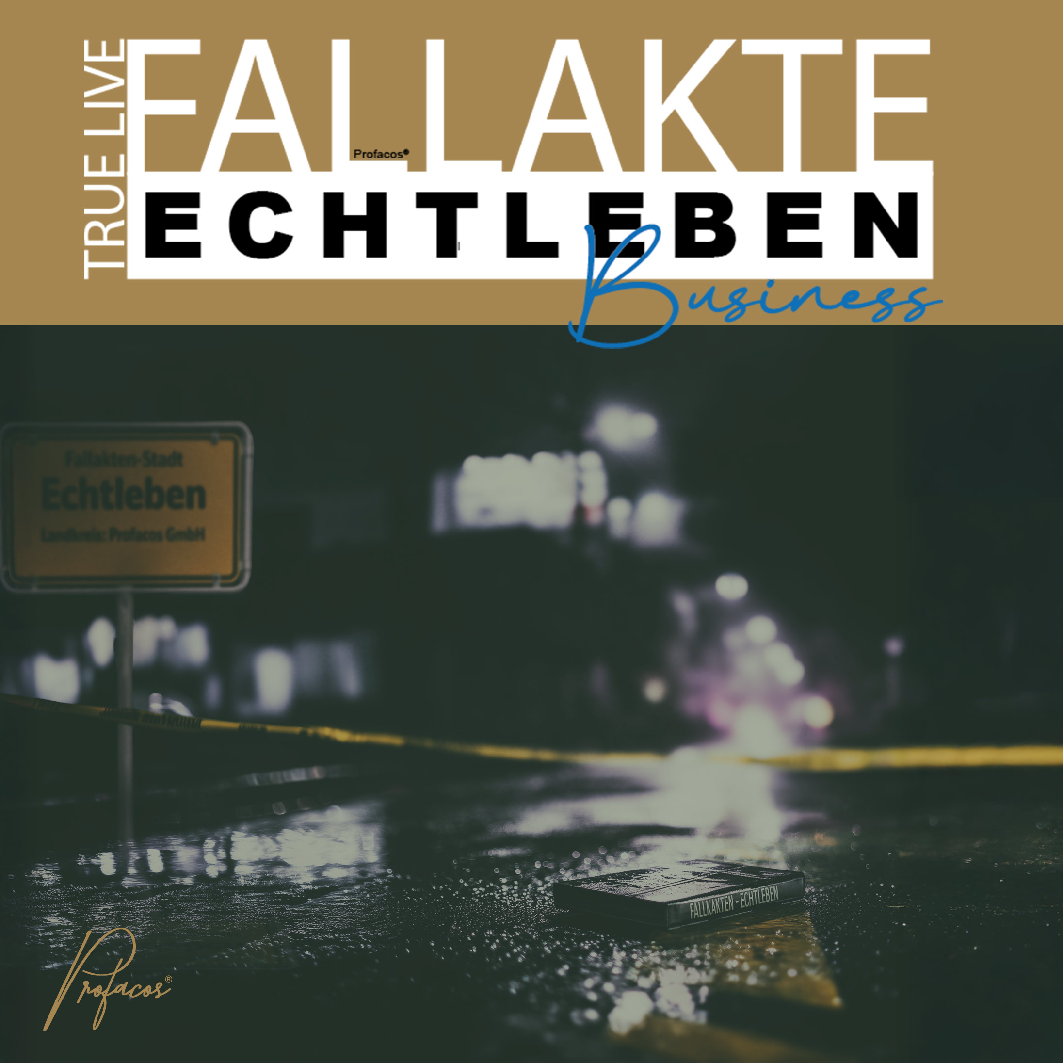 TRUE LIVE: Fallakte Echtleben – Business cover art