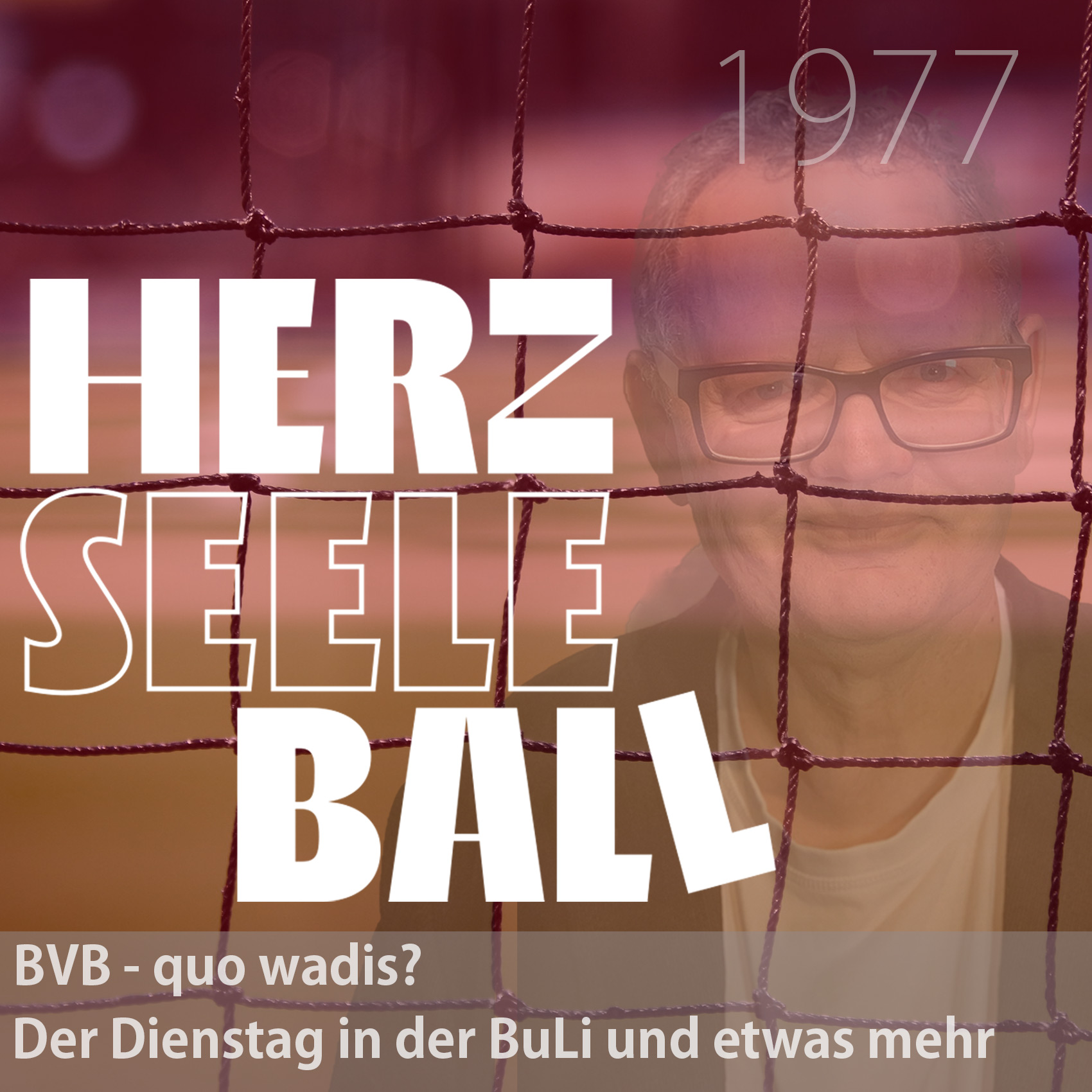 BVB - quo wadis? Der Dienstag in der Bundesliga und etwas mehr episode artwork